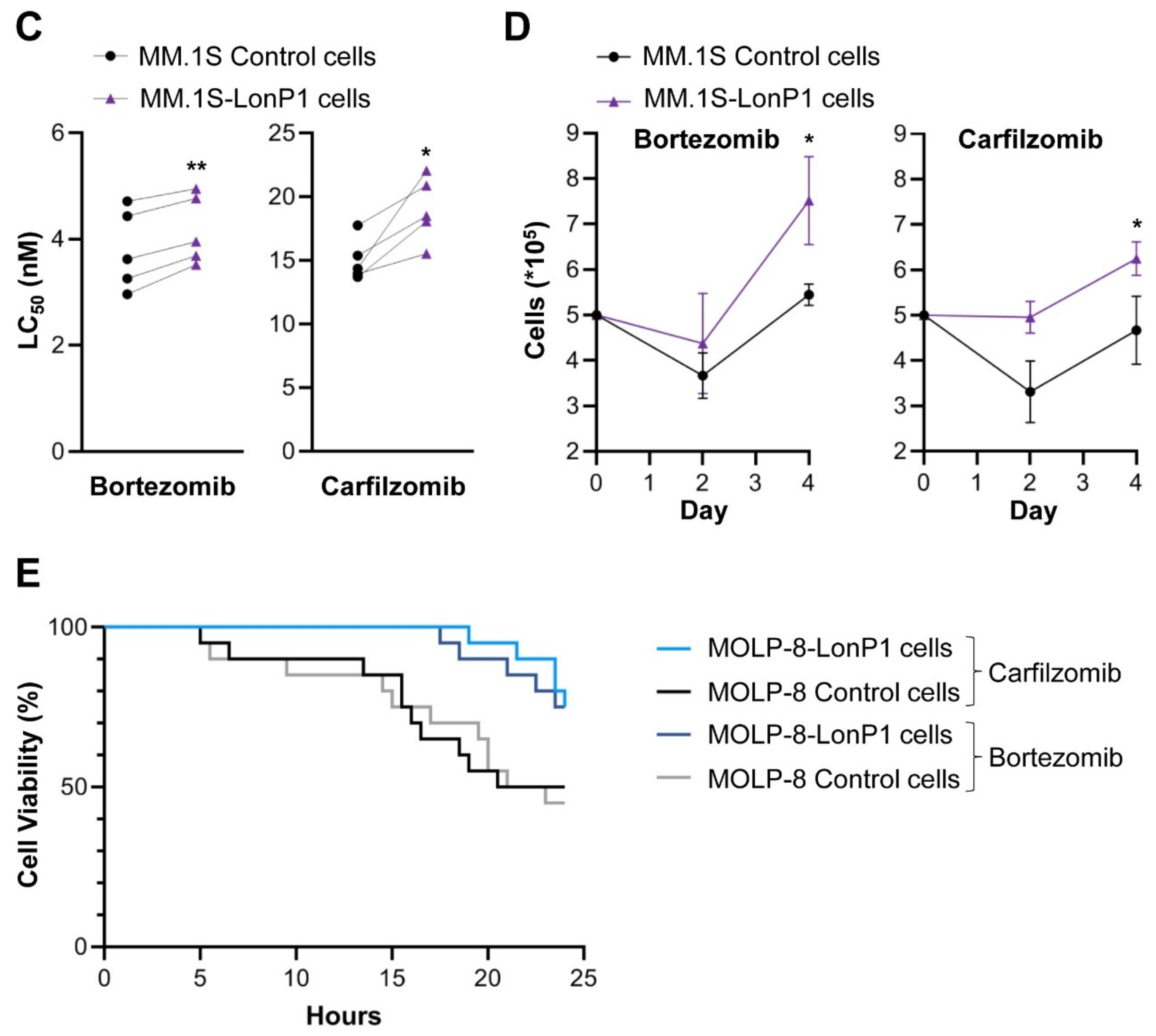 Cancers 13 00843 g005b Cancers 13 00843 g005b
