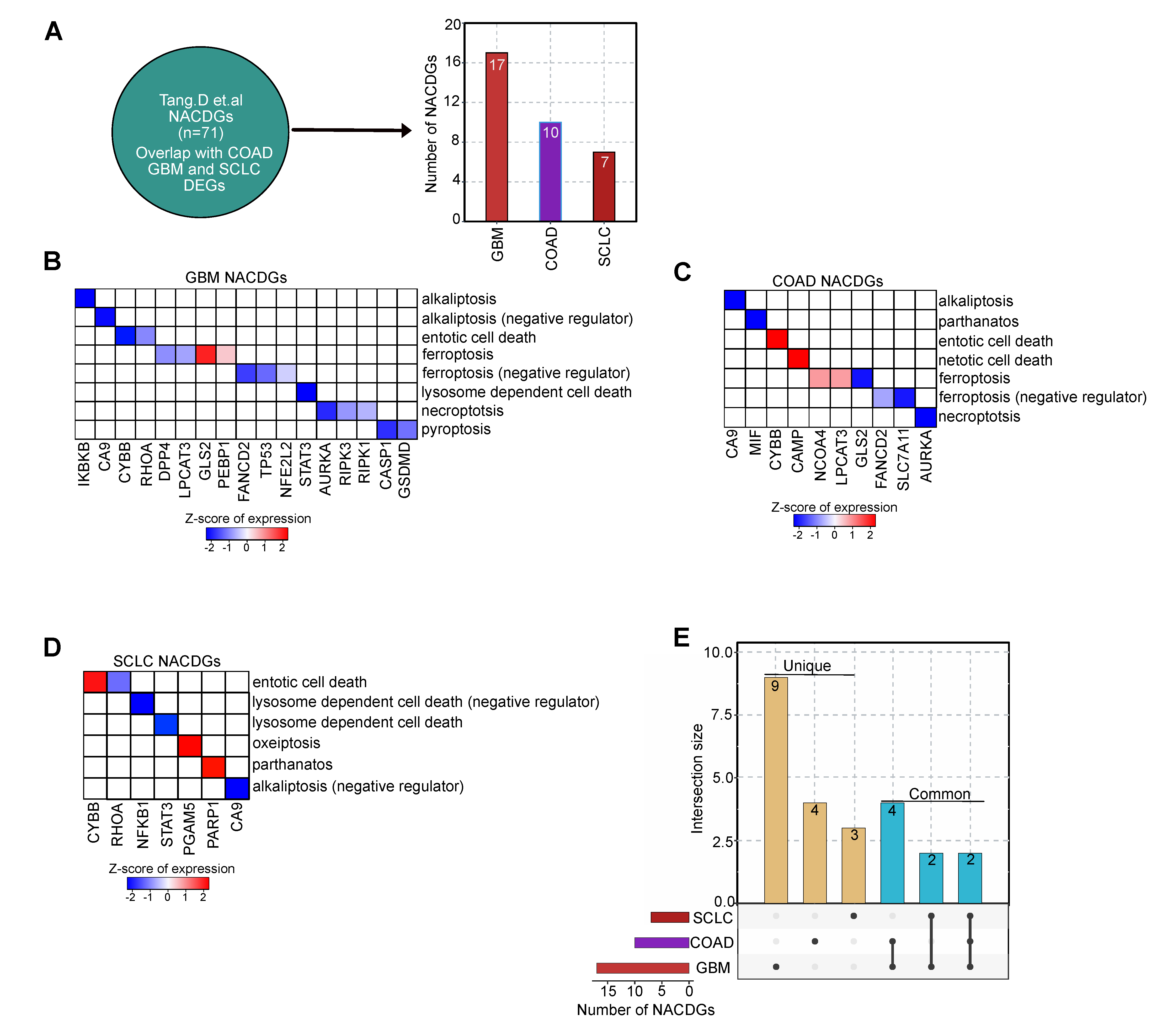 Cancers 13 00851 g002 Cancers 13 00851 g002
