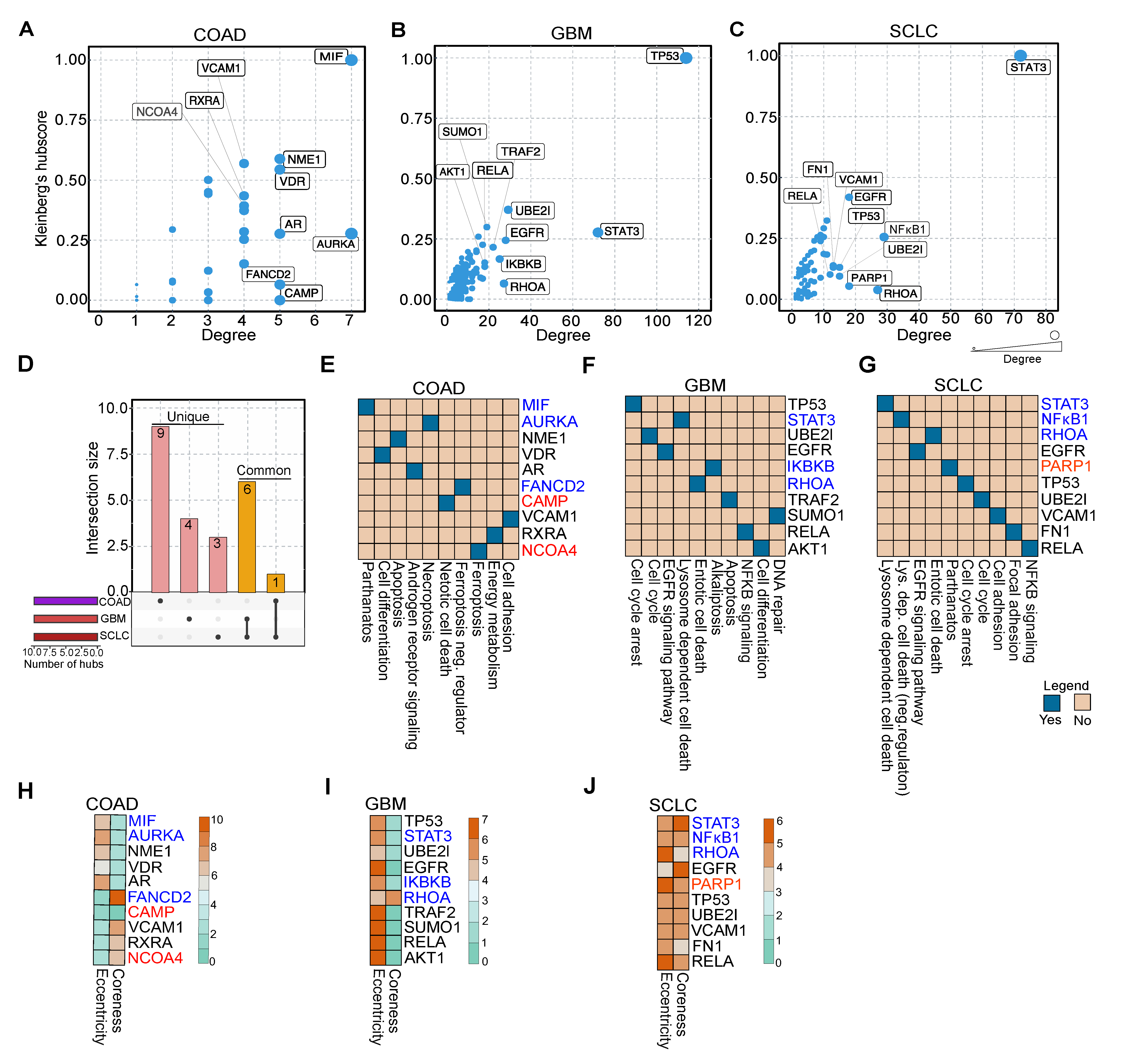 Cancers 13 00851 g004 Cancers 13 00851 g004