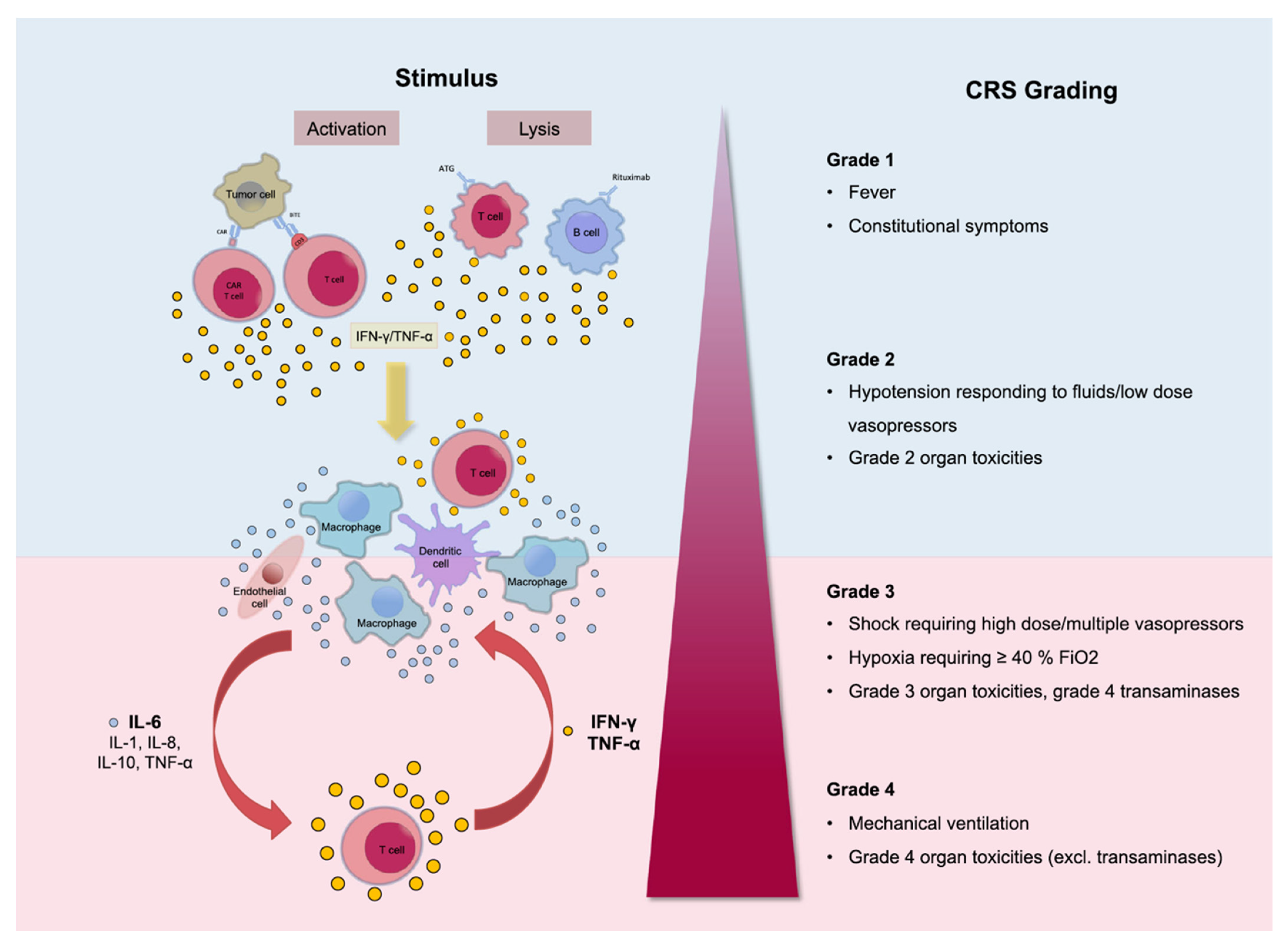 copd and mesothelioma