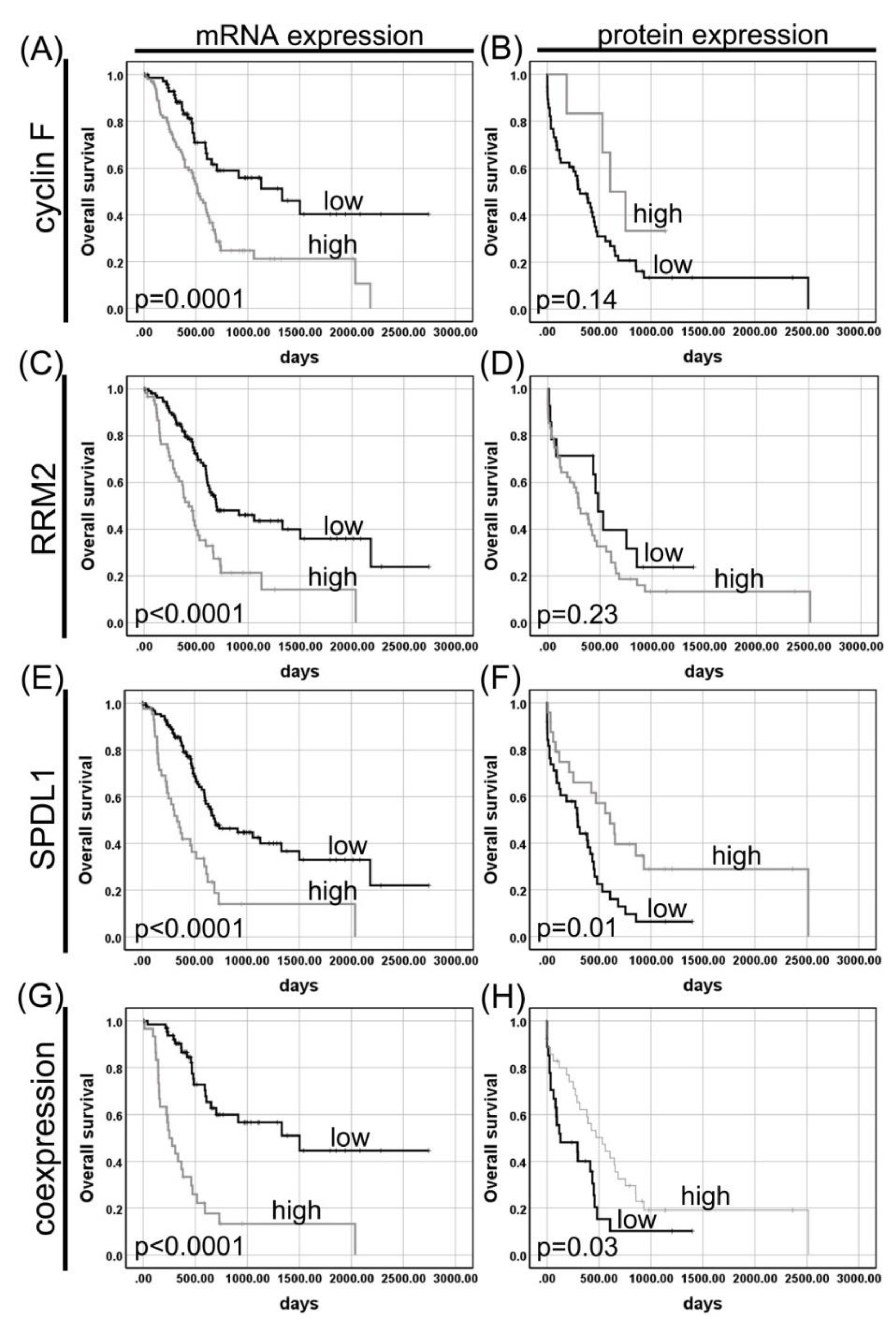 Cancers 13 00859 g003 Cancers 13 00859 g003