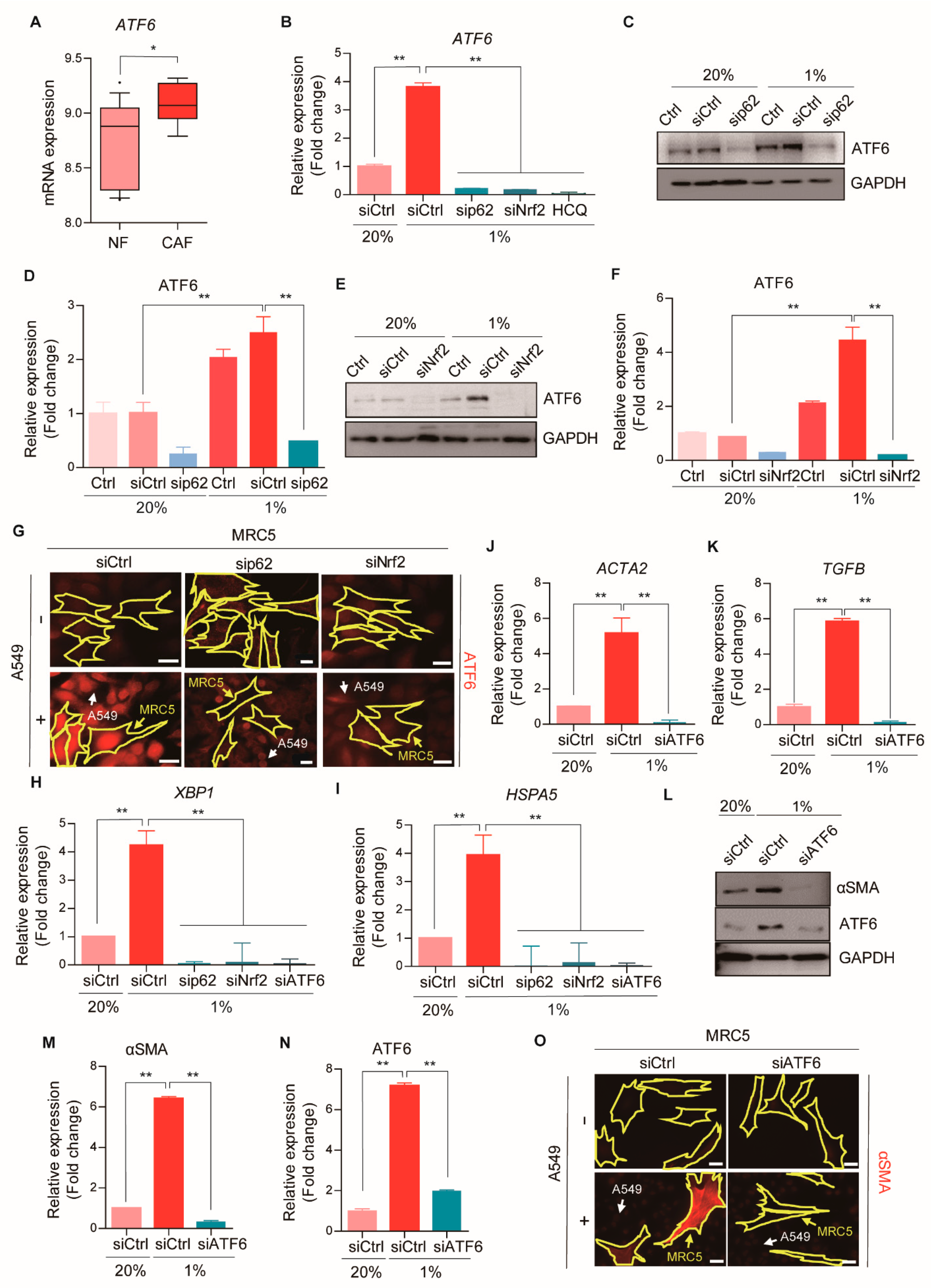 Cancers 13 00864 g006