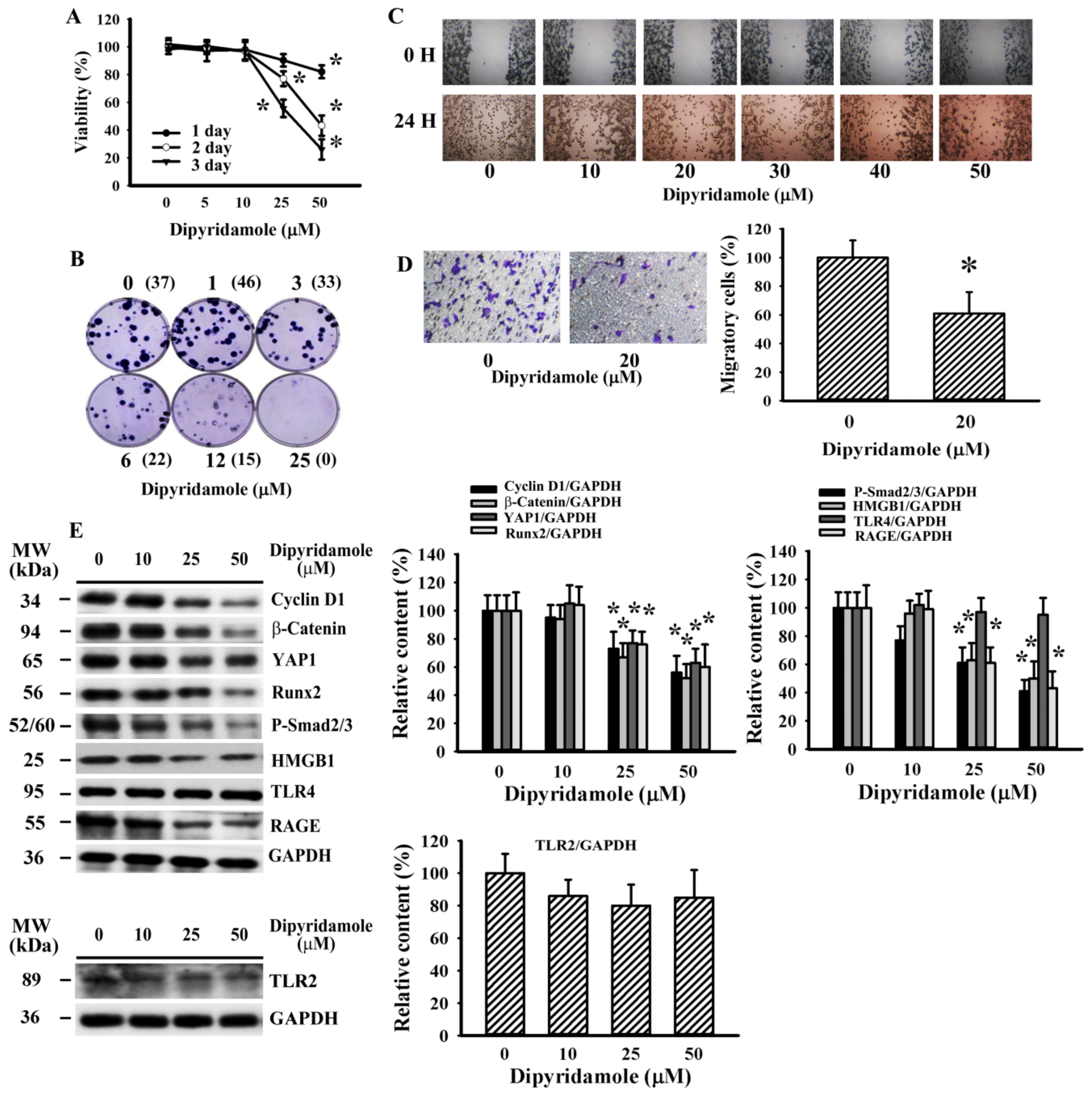 Cancers 13 00877 g004
