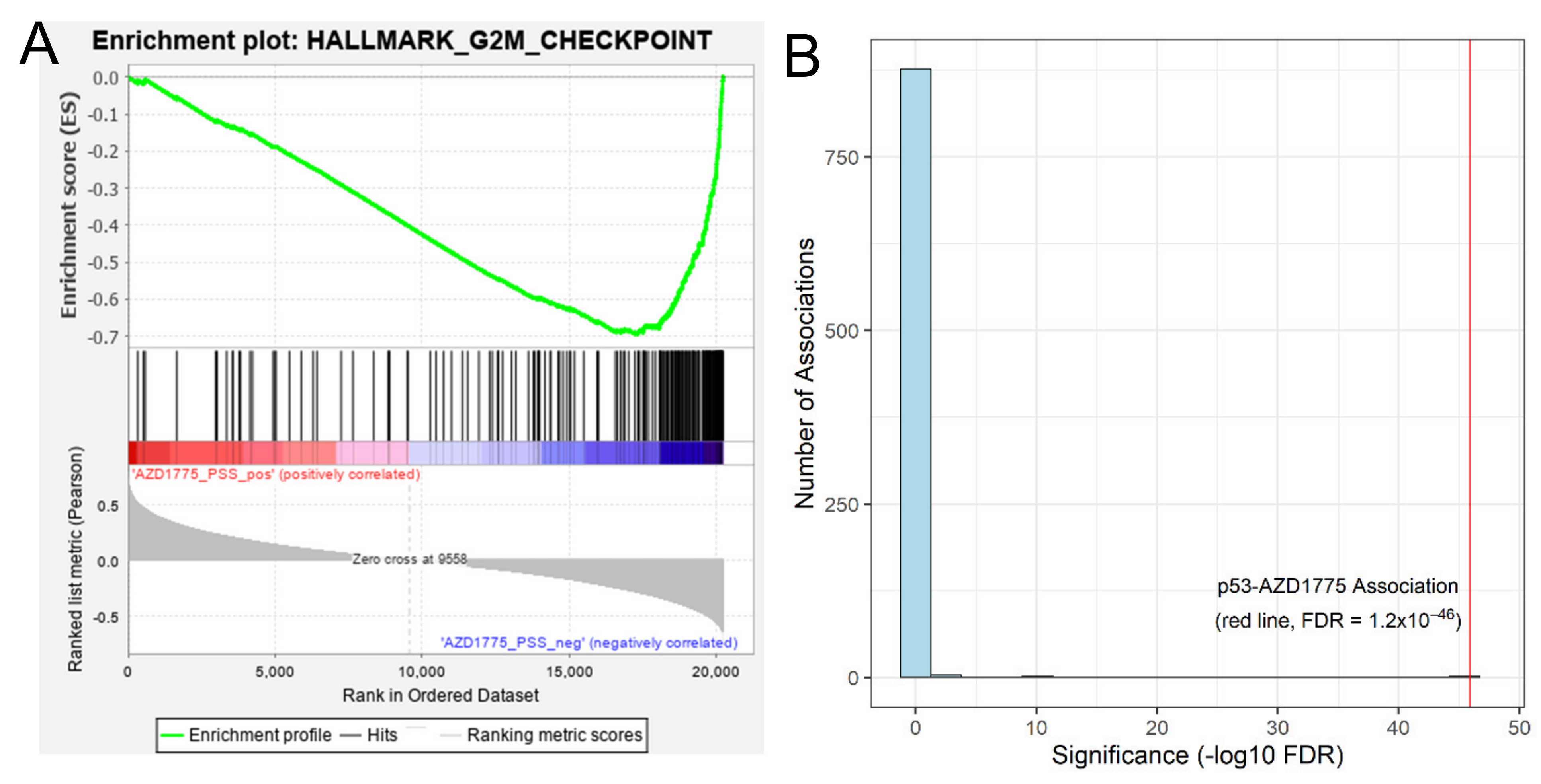 Cancers 13 00885 g002