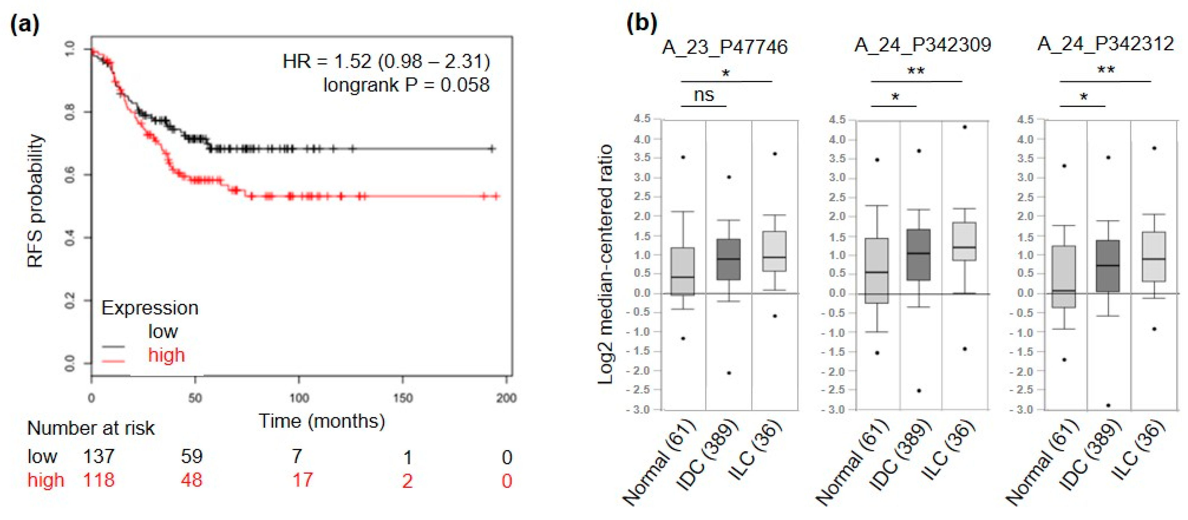 Cancers 13 00894 g003