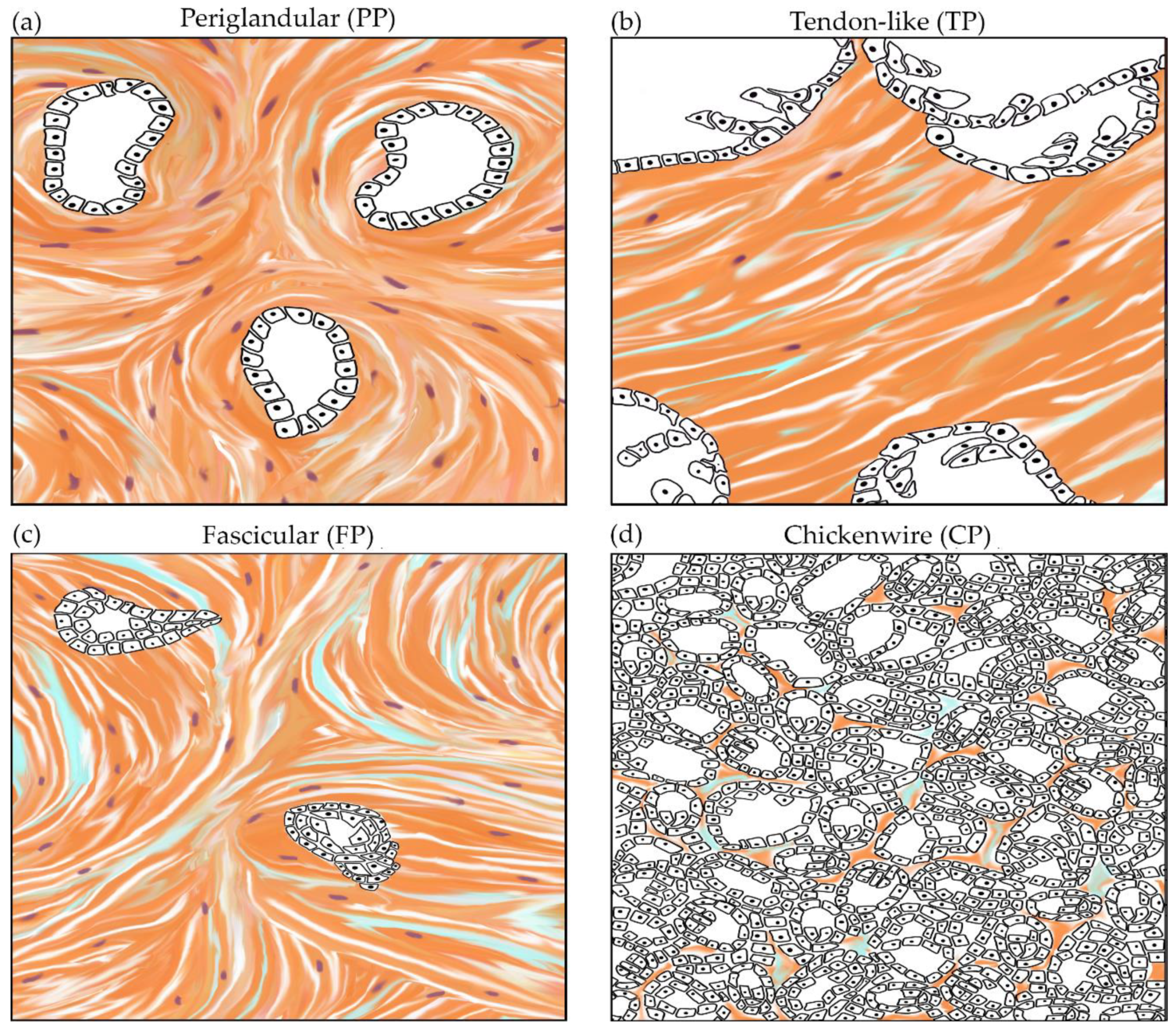 Cancers 13 00895 g001 Cancers 13 00895 g001