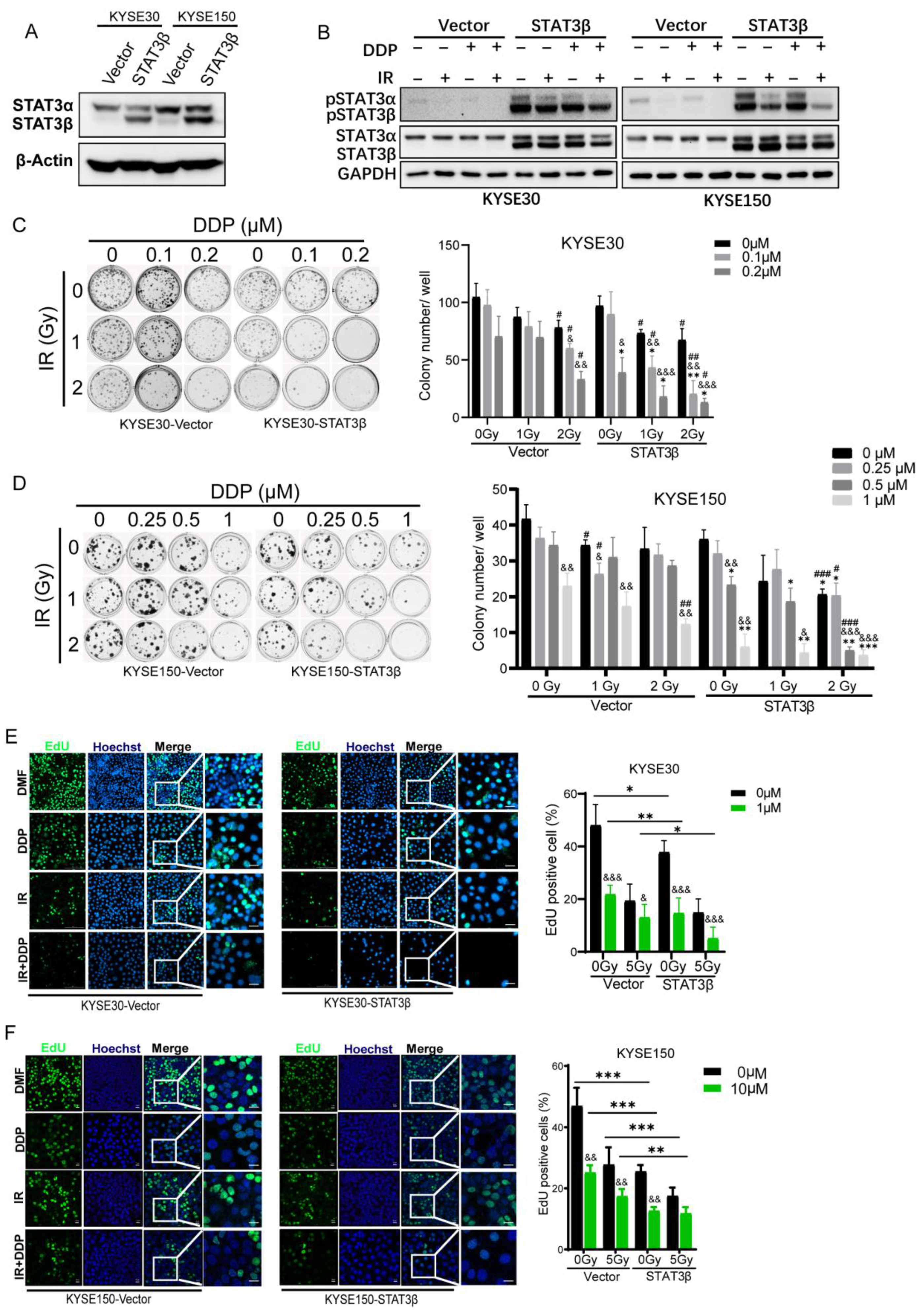 Cancers 13 00901 g004