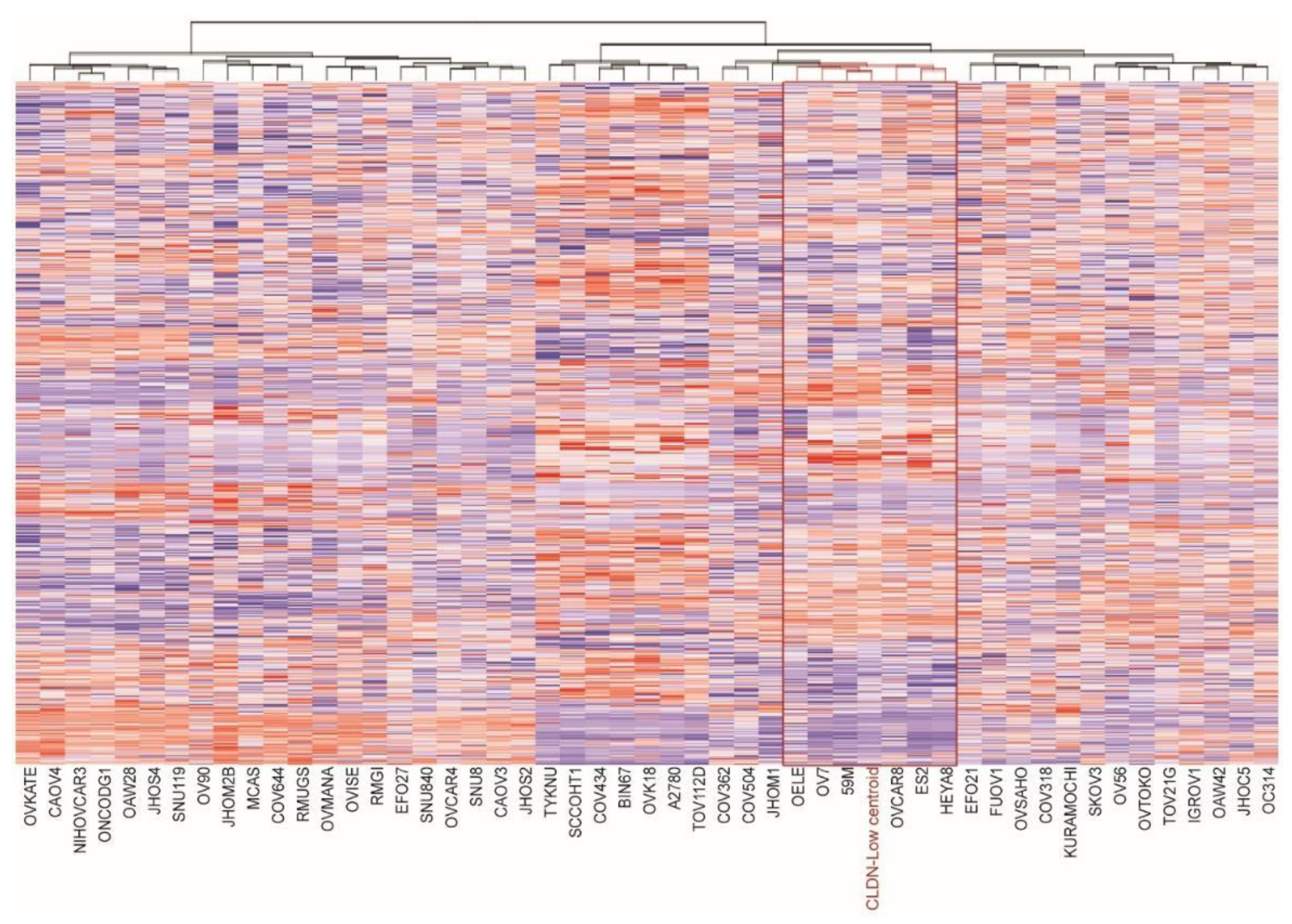 Cancers 13 00906 g001