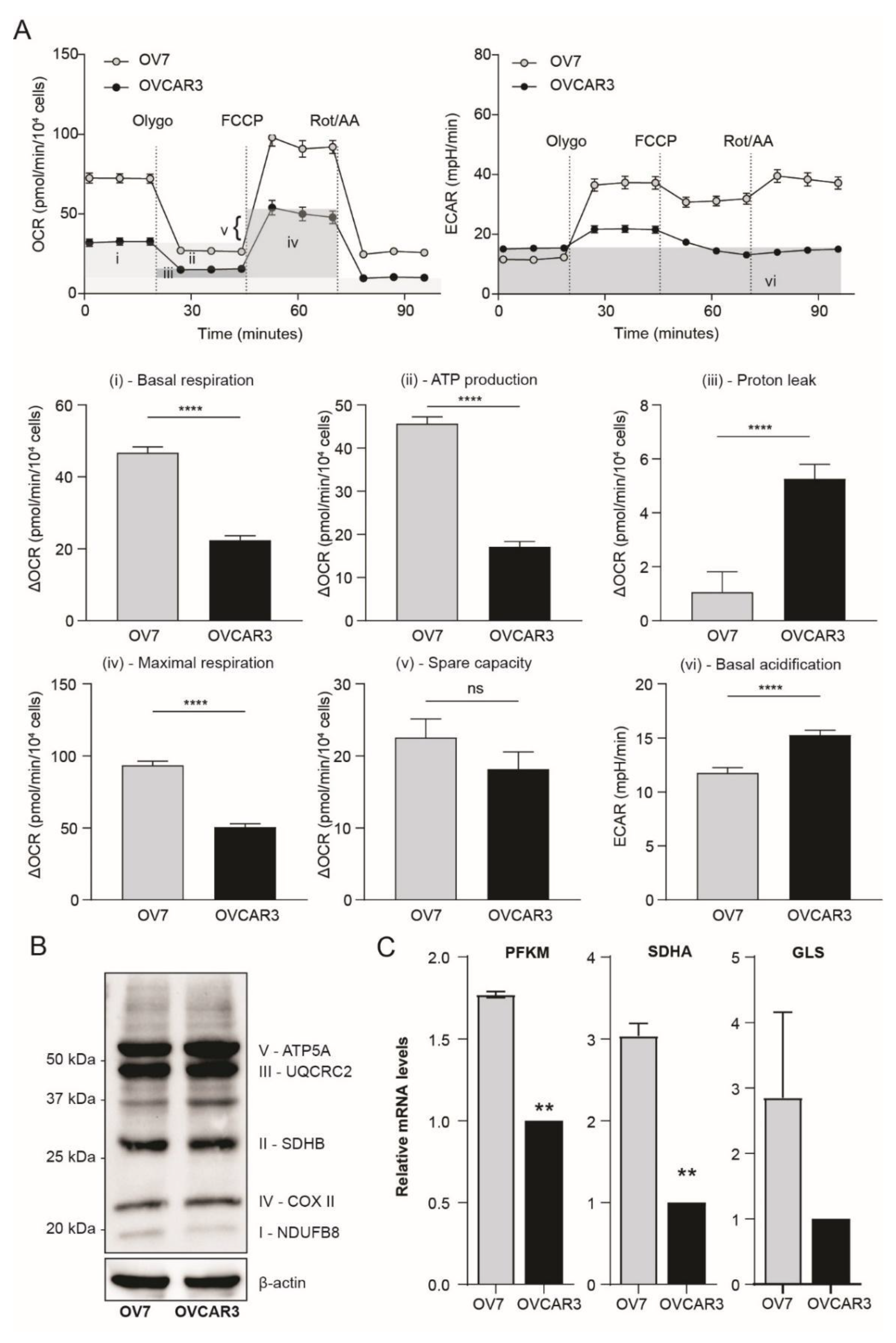 Cancers 13 00906 g004