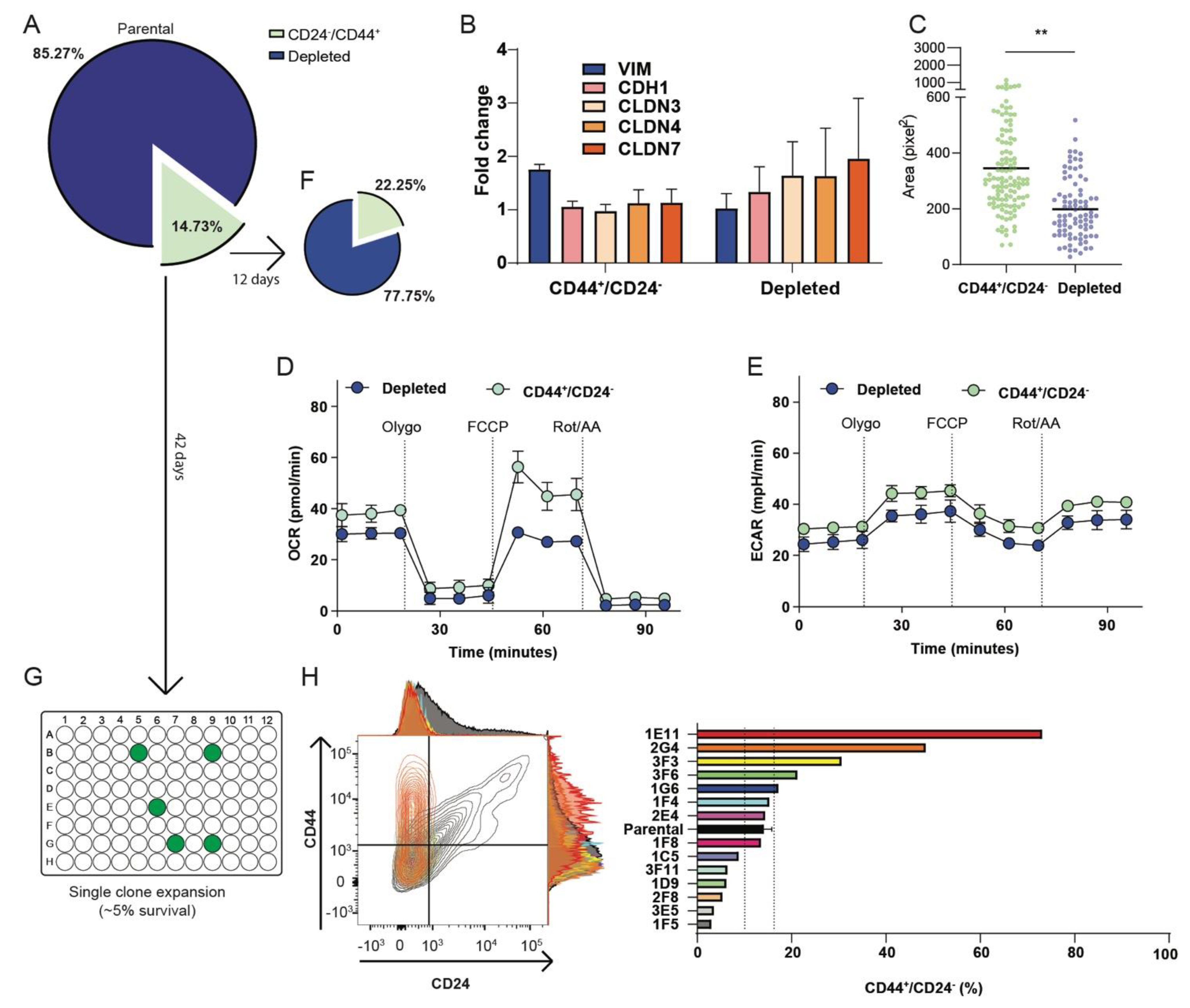 Cancers 13 00906 g005