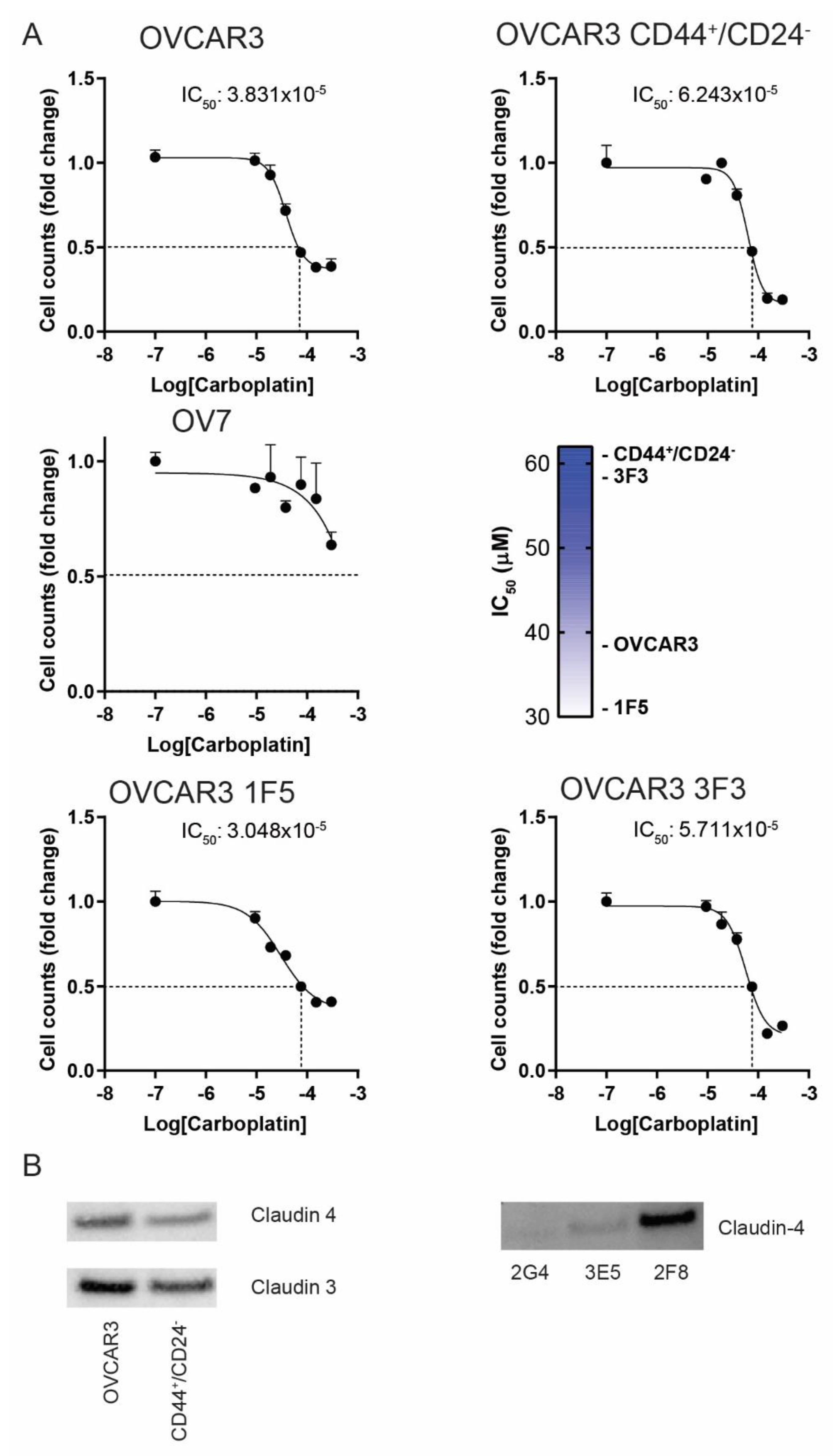 Cancers 13 00906 g006