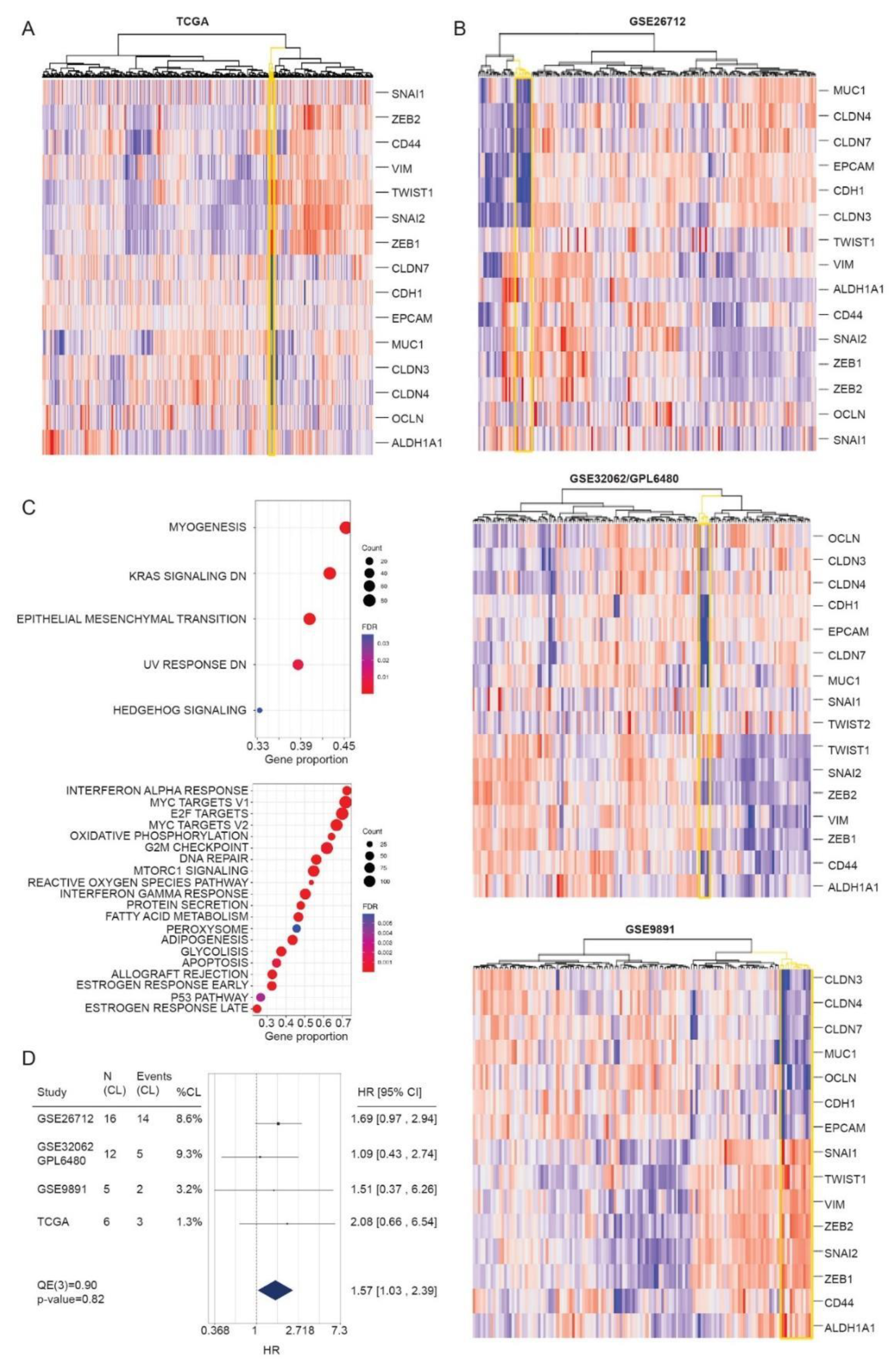 Cancers 13 00906 g007