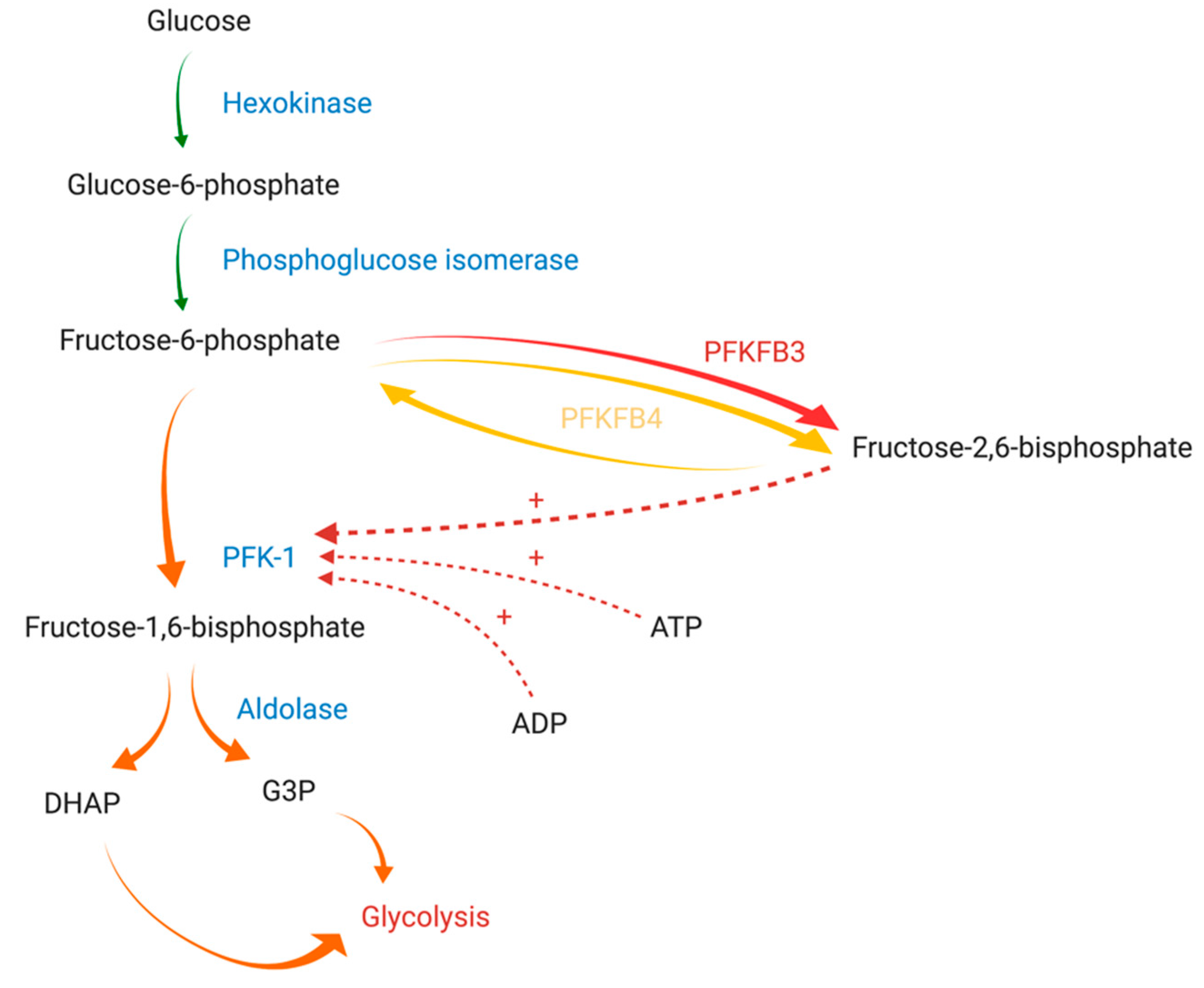 Cancers 13 00909 g001