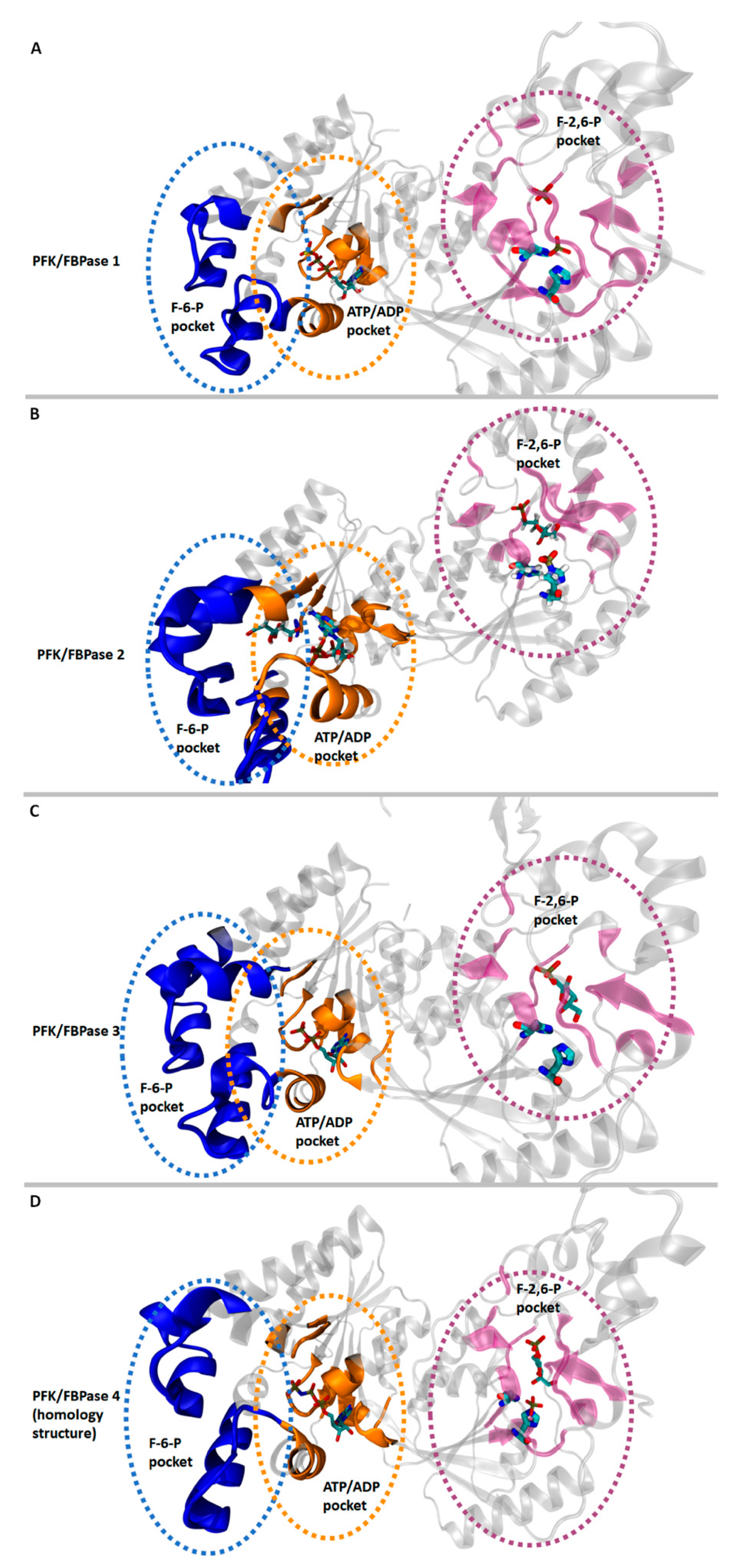 Cancers 13 00909 g006