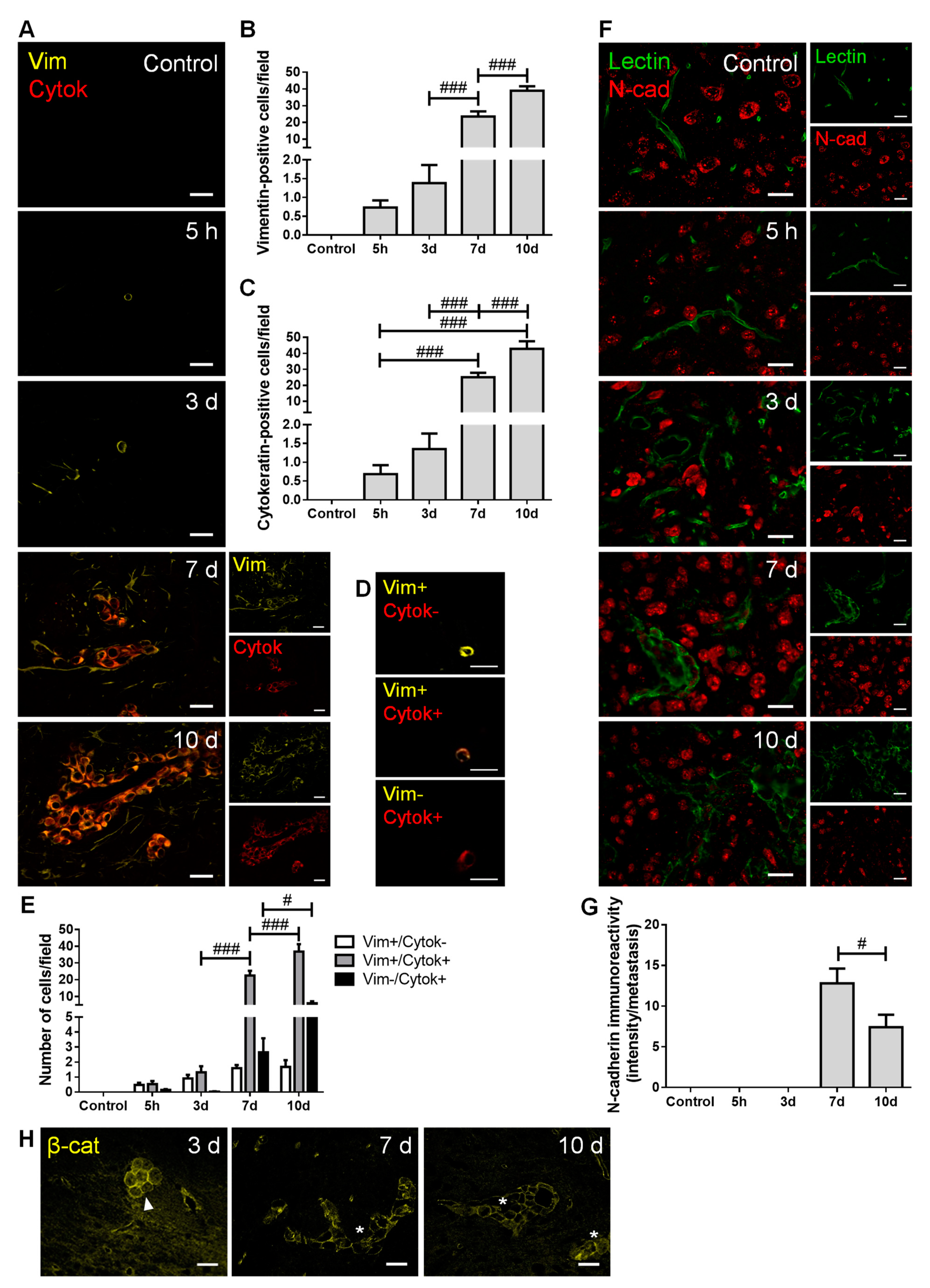 Cancers 13 00910 g002 Cancers 13 00910 g002