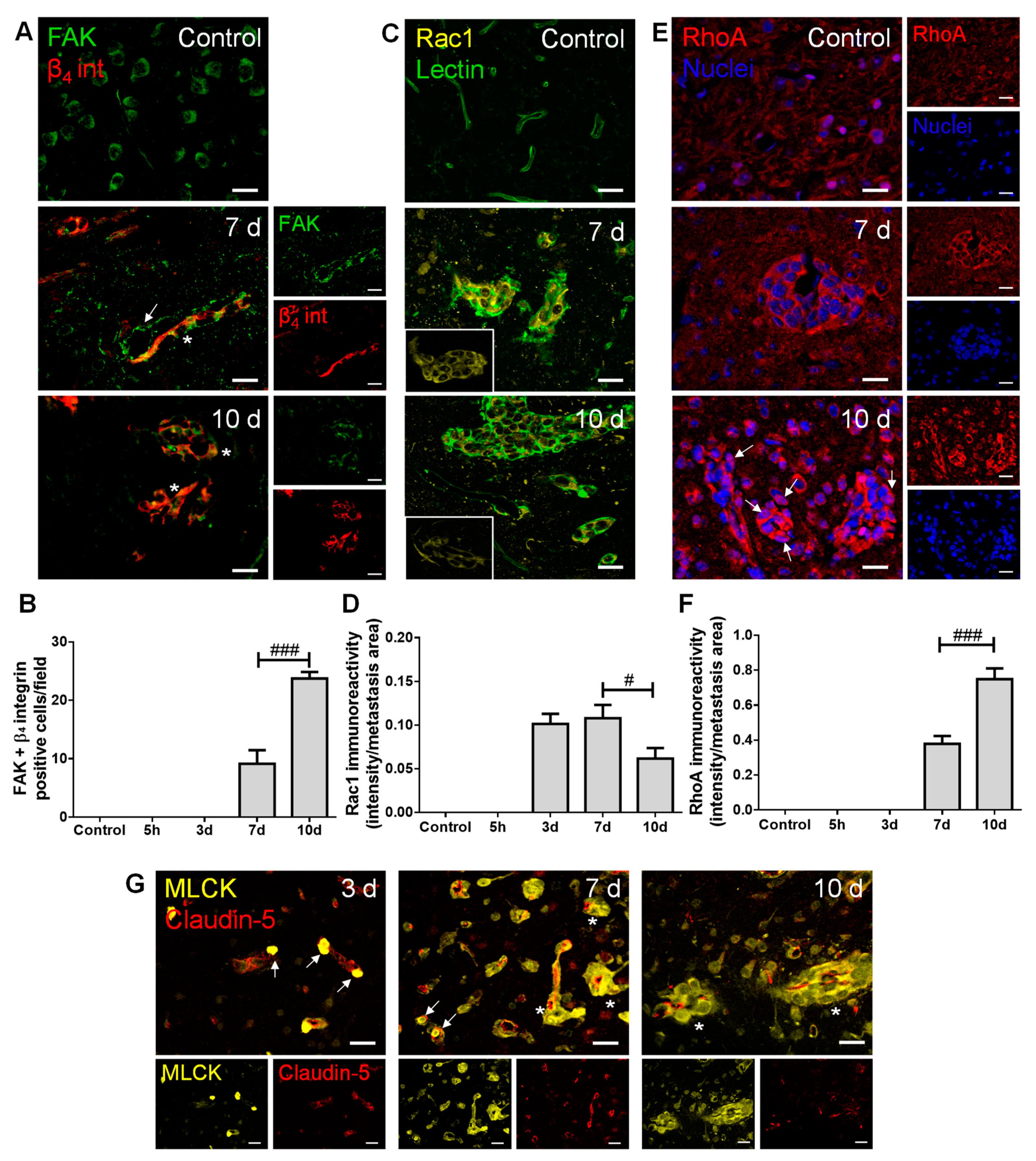 Cancers 13 00910 g003 Cancers 13 00910 g003