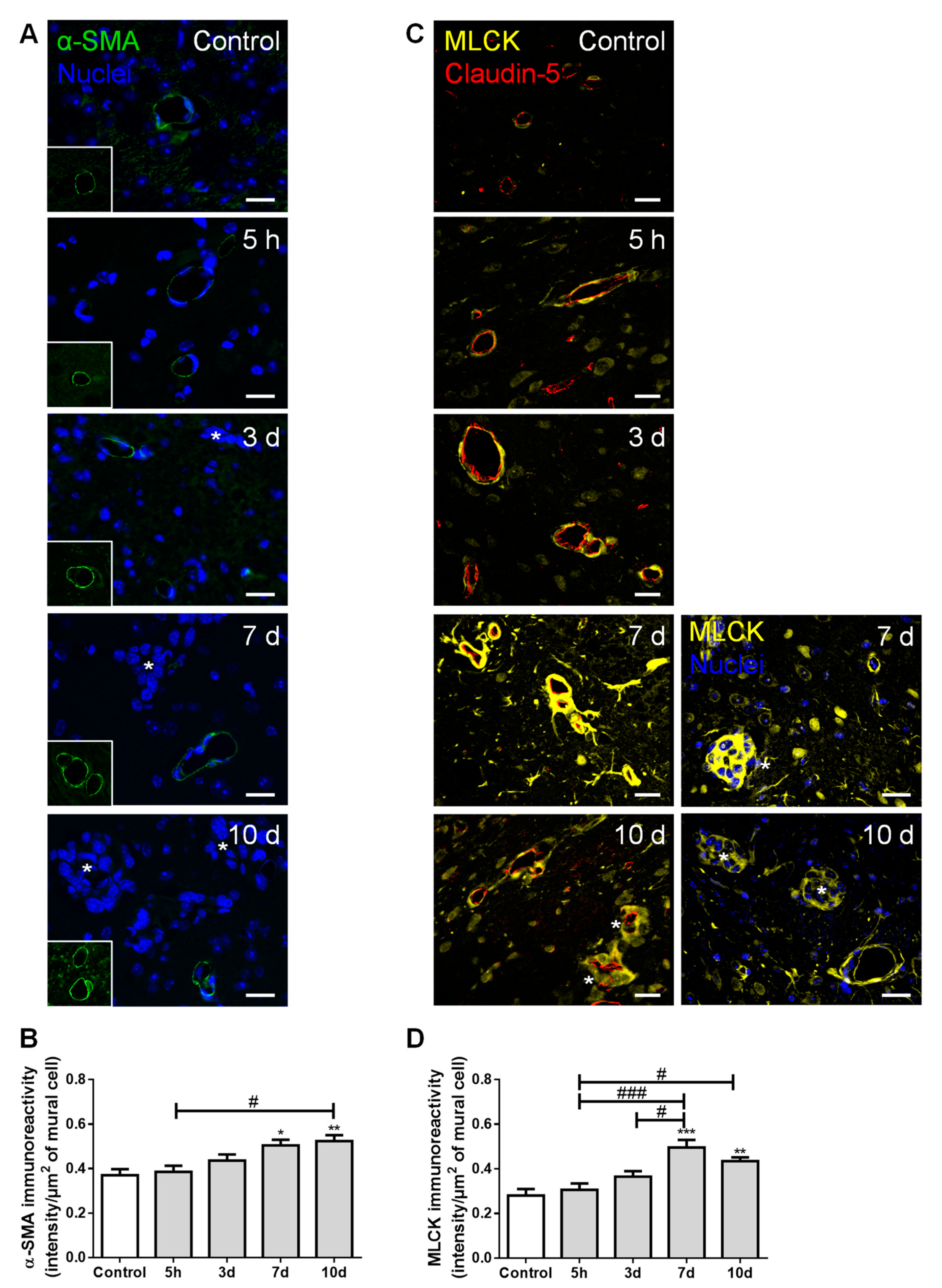 Cancers 13 00910 g006 Cancers 13 00910 g006
