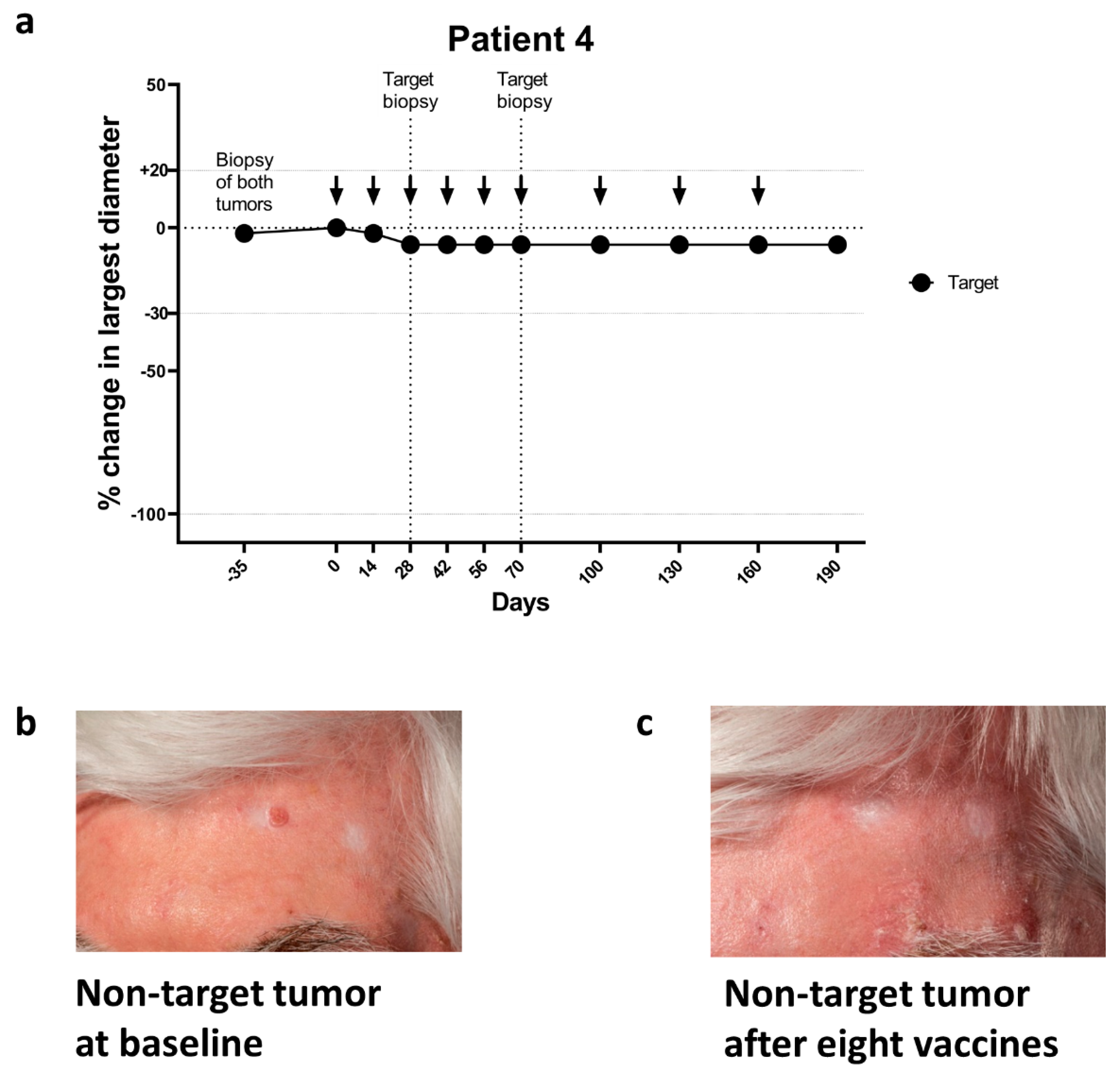 Cancers 13 00911 g003 Cancers 13 00911 g003