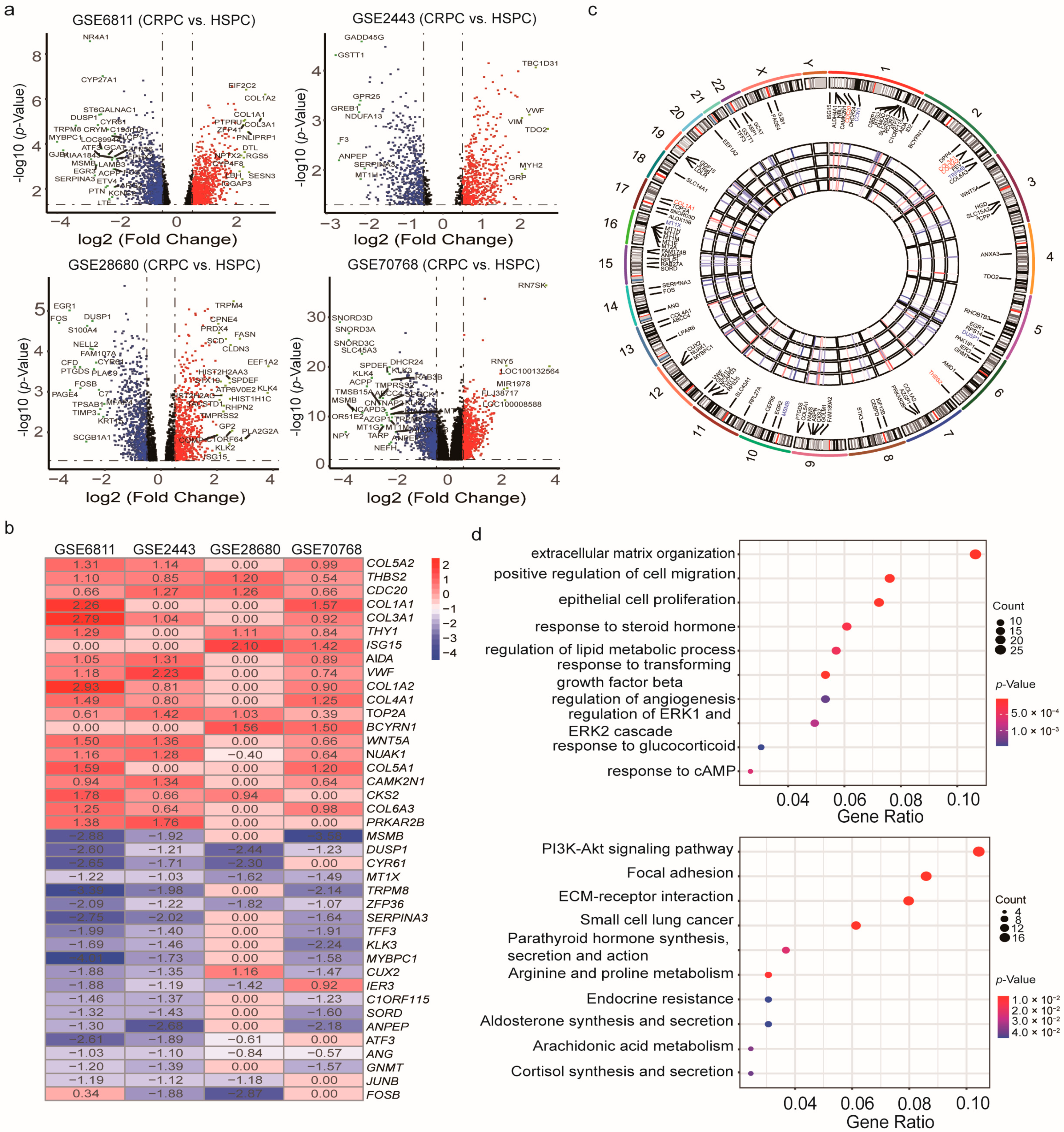 Cancers 13 00917 g002 Cancers 13 00917 g002