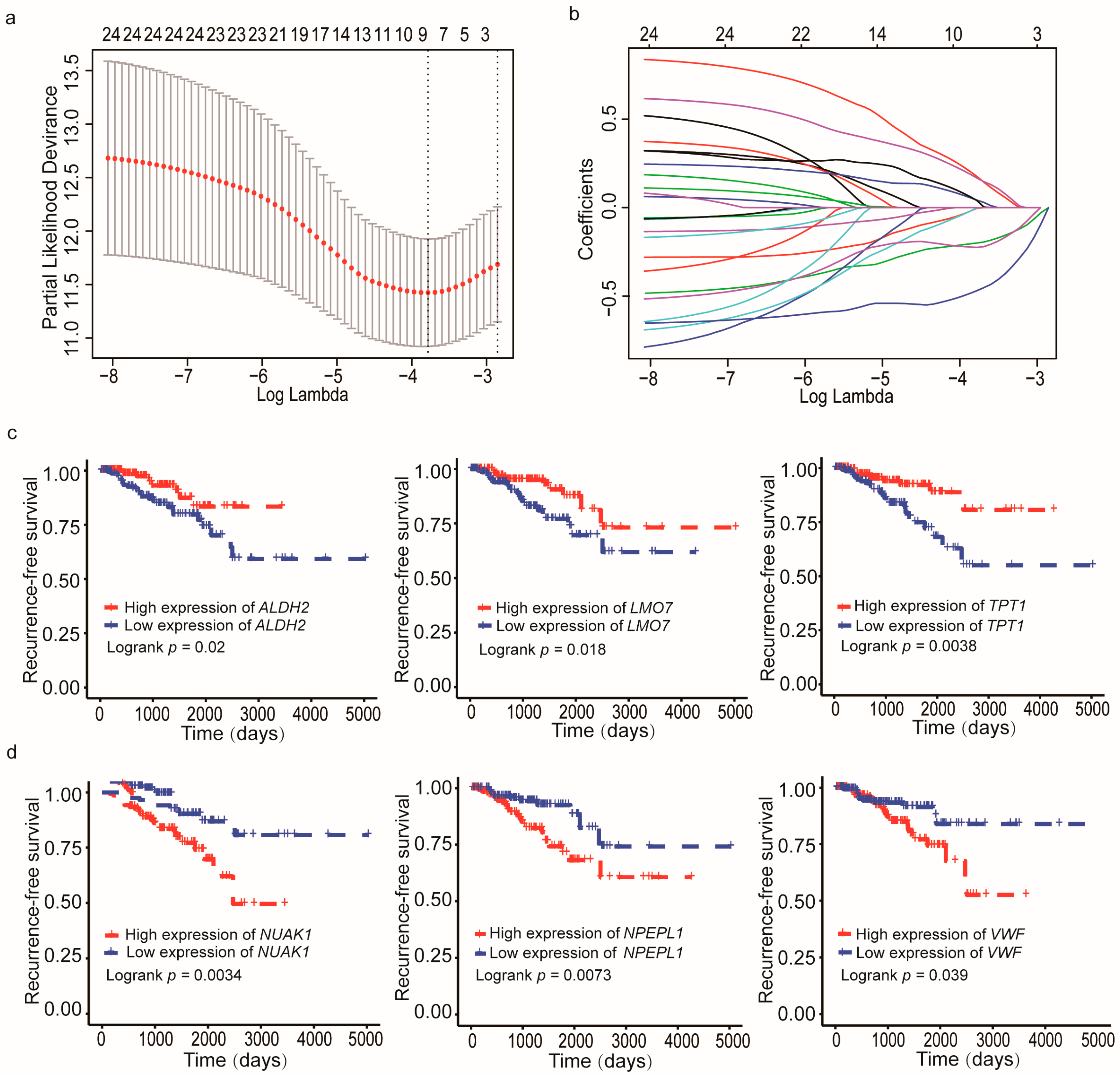 Cancers 13 00917 g003 Cancers 13 00917 g003