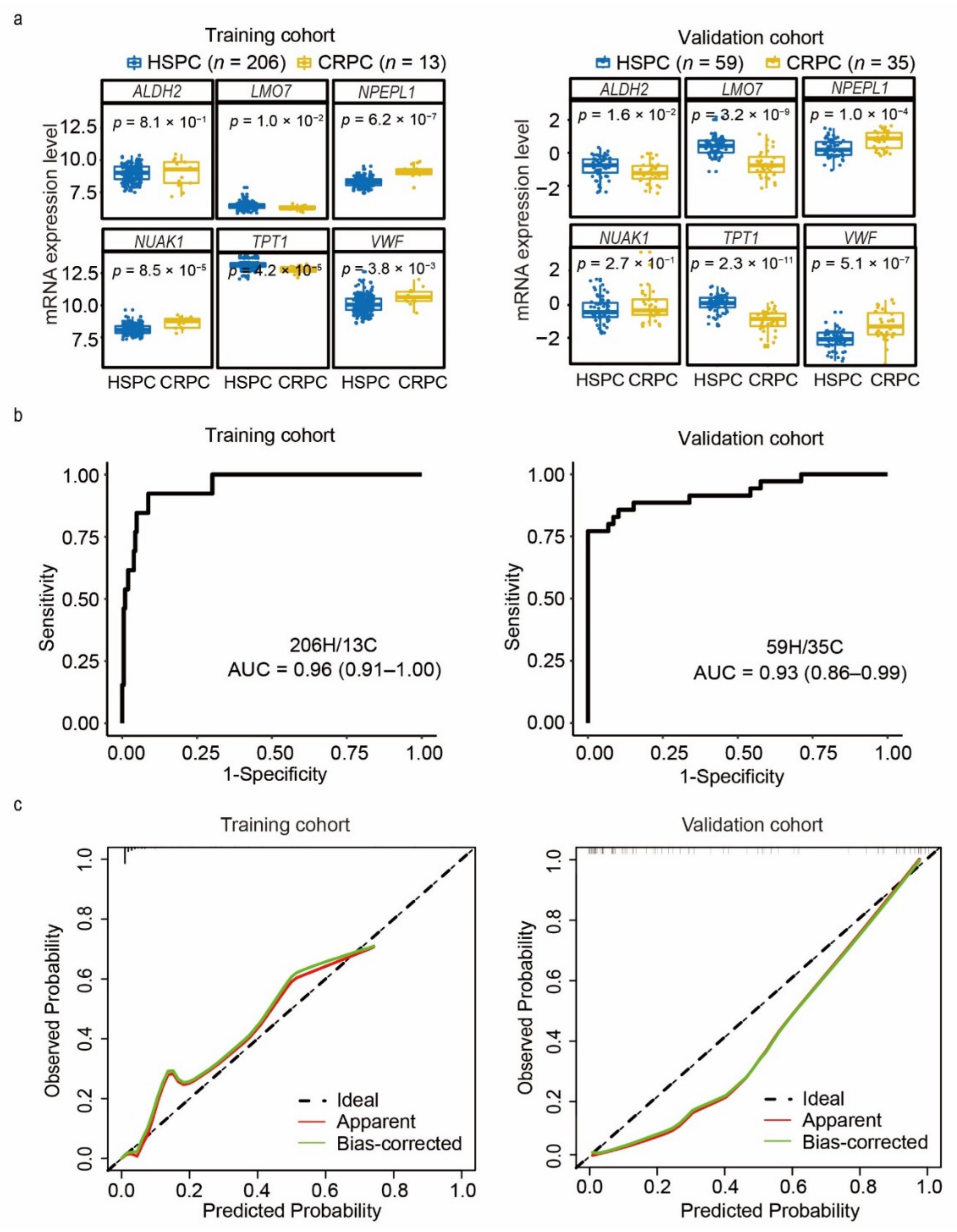 Cancers 13 00917 g005 Cancers 13 00917 g005