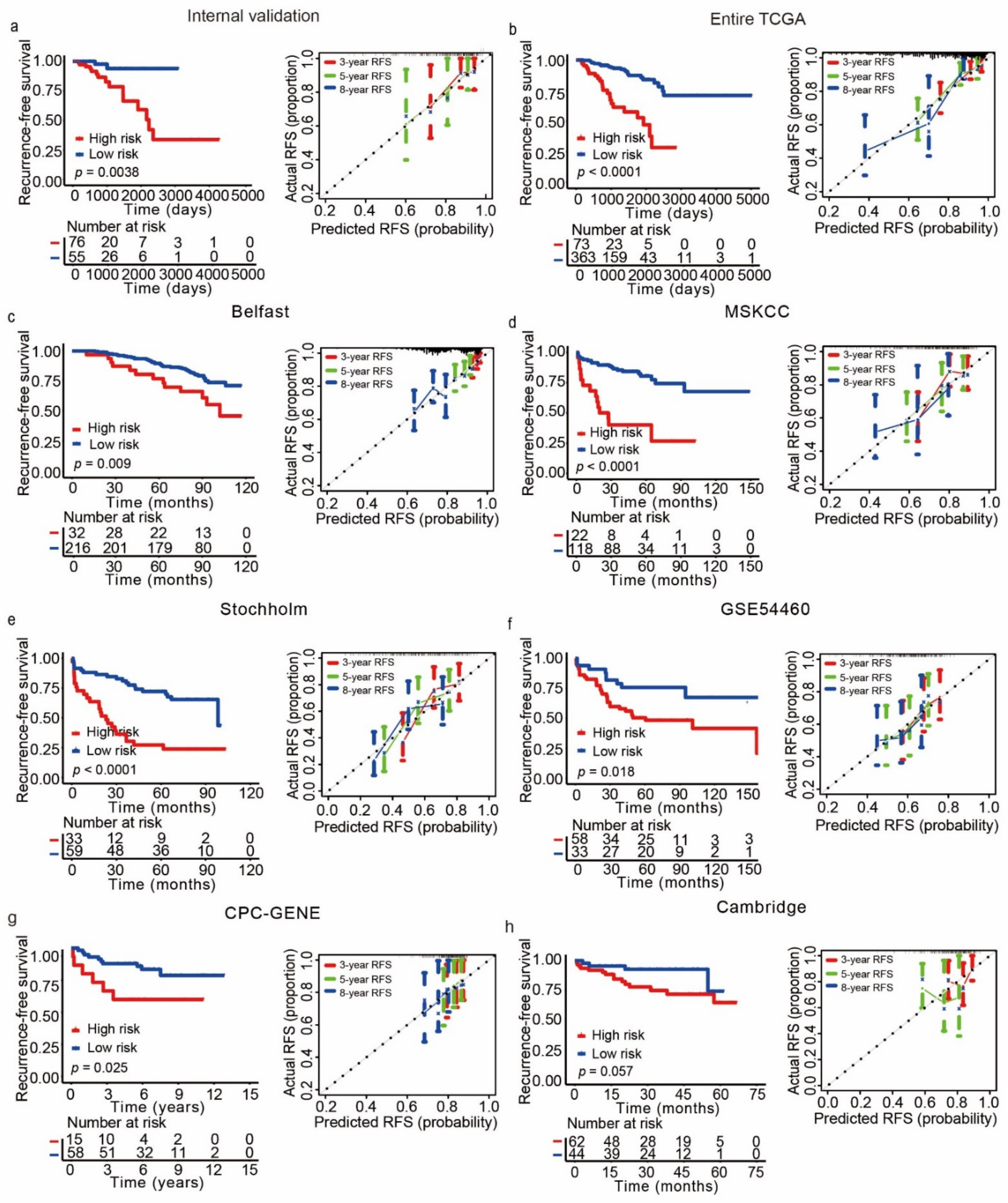 Cancers 13 00917 g006 Cancers 13 00917 g006