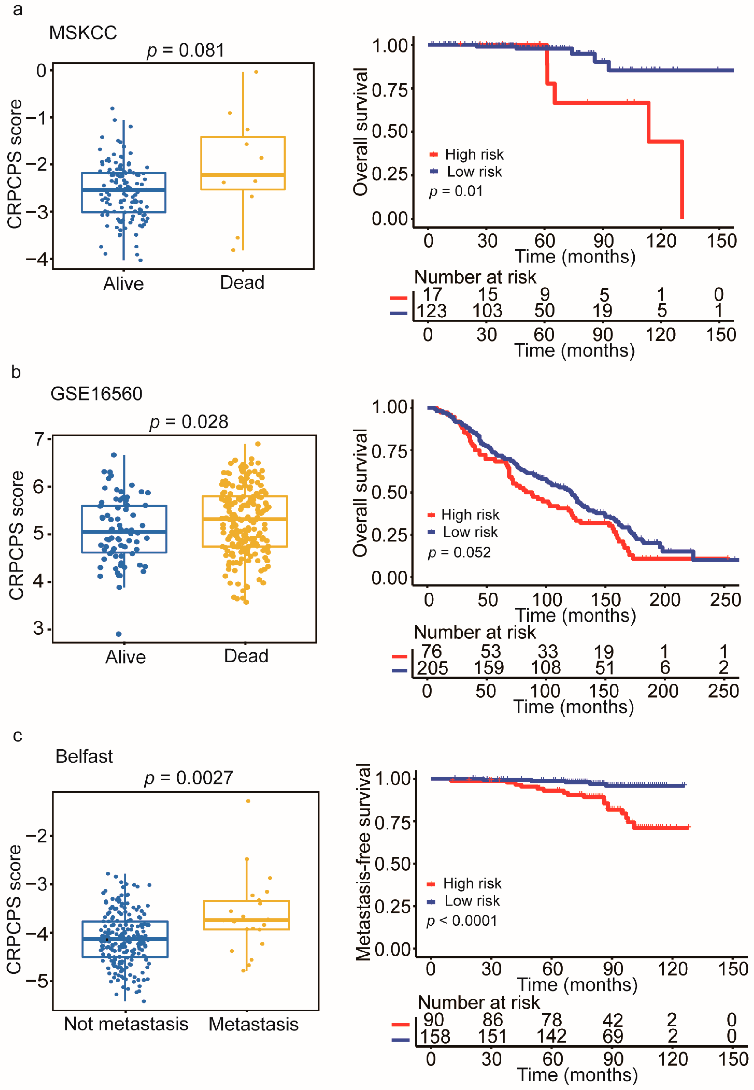 Cancers 13 00917 g007 Cancers 13 00917 g007