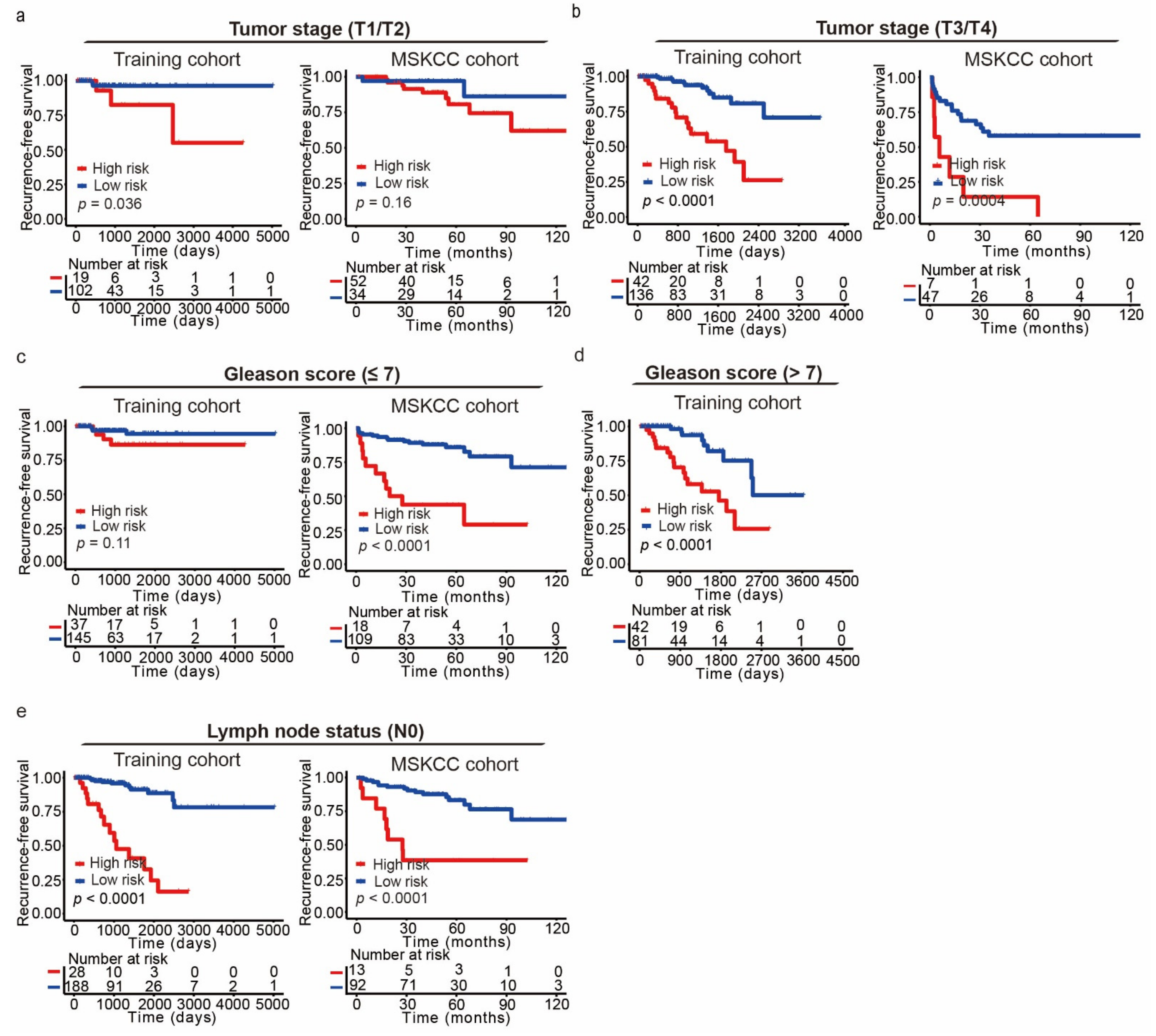 Cancers 13 00917 g010 Cancers 13 00917 g010