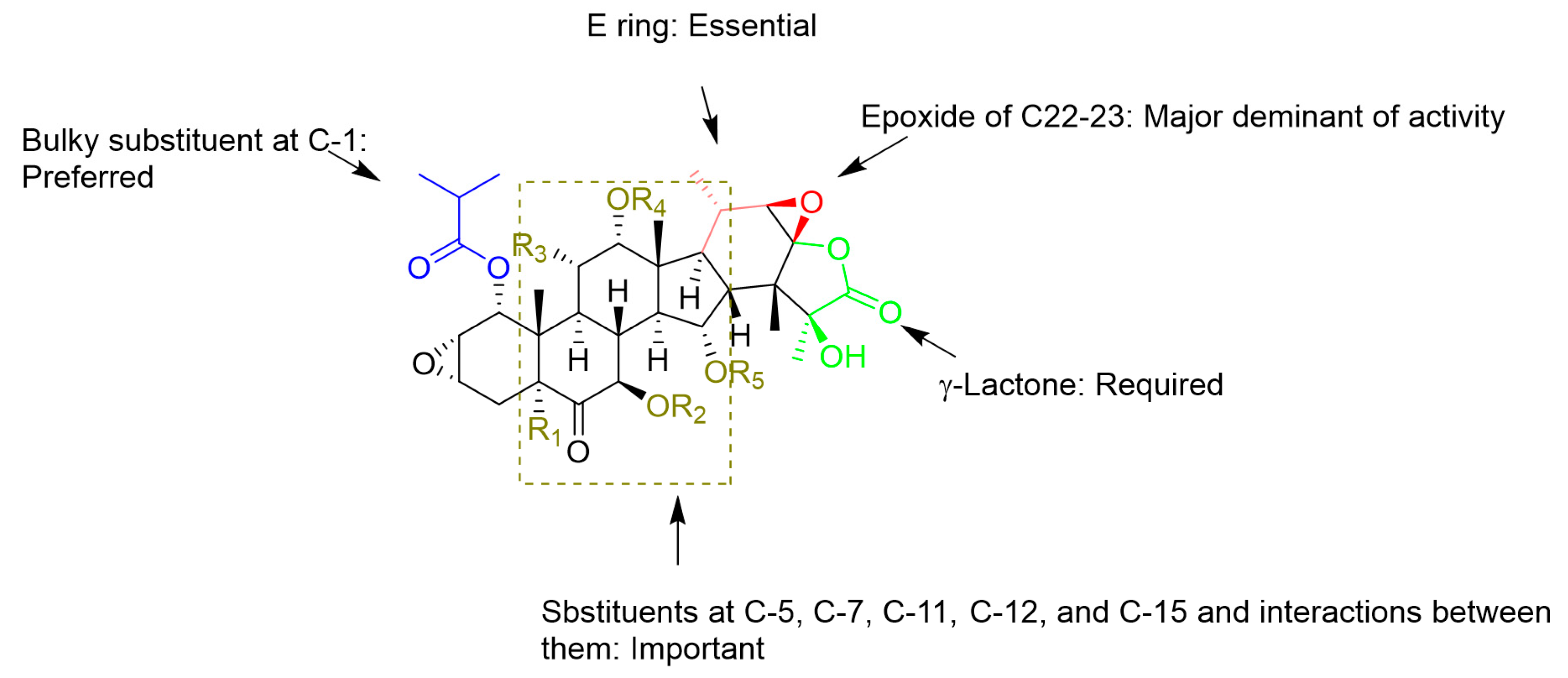 Cancers 13 00920 g005