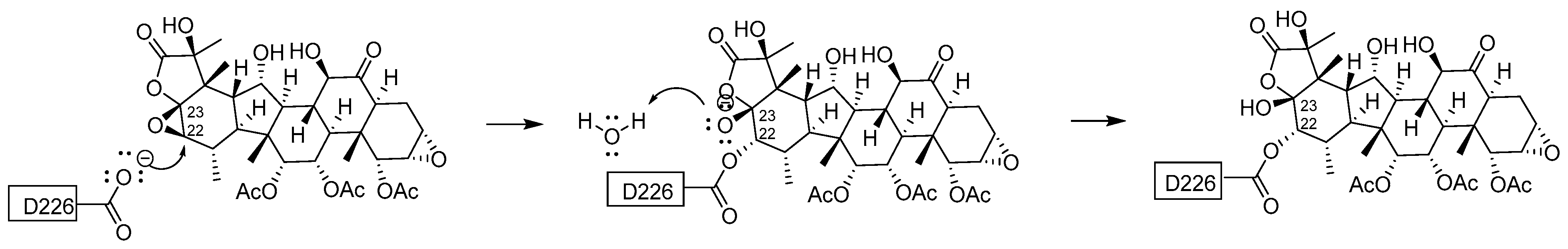 Cancers 13 00920 g007