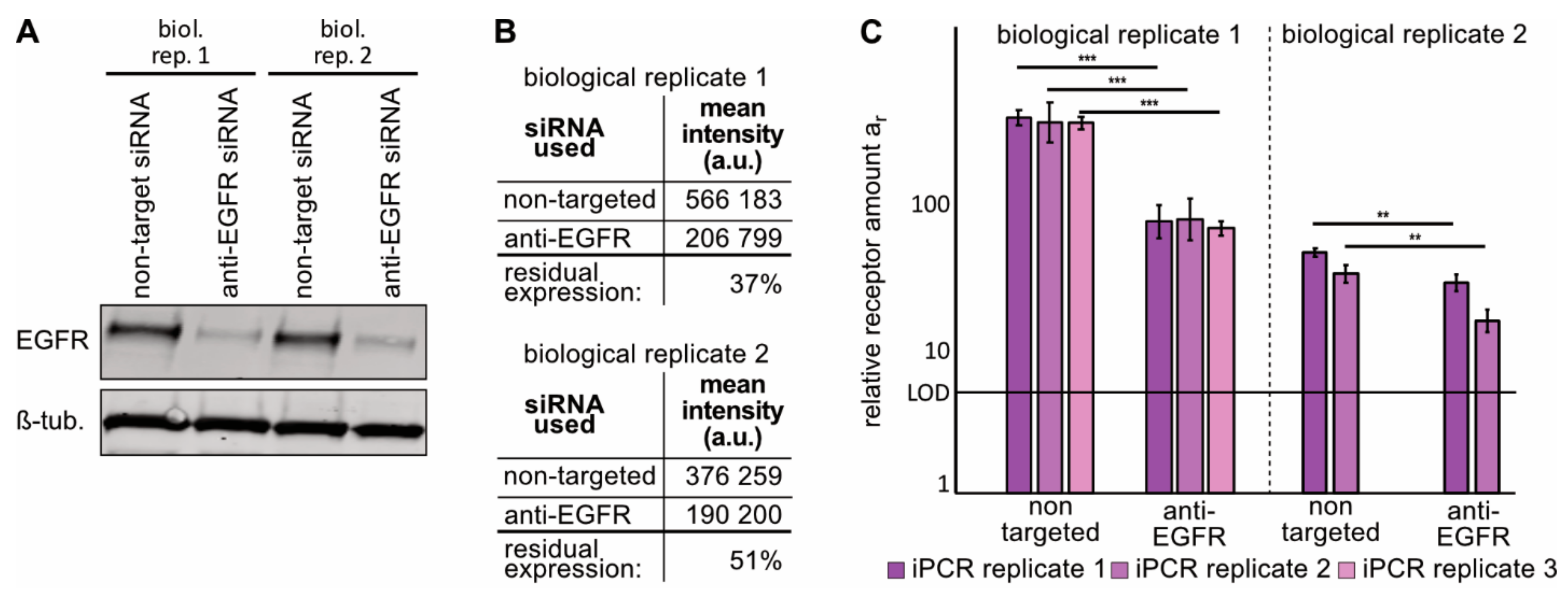 Cancers 13 00922 g003 Cancers 13 00922 g003