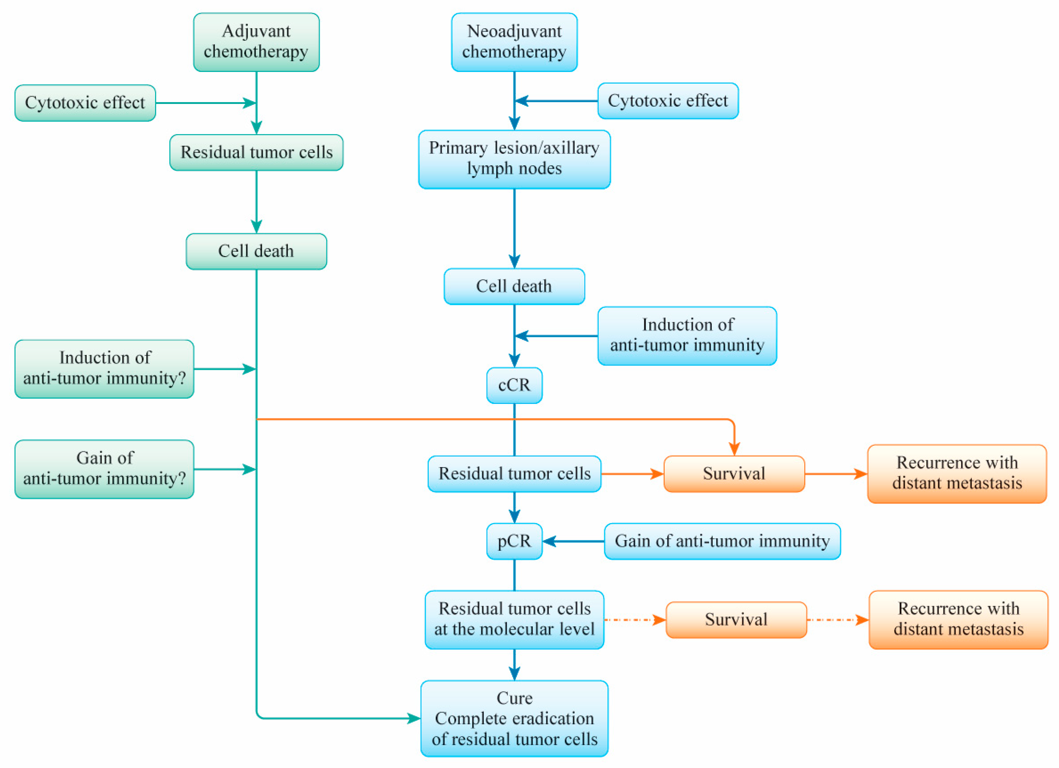 Cancers 13 00926 g002 Cancers 13 00926 g002