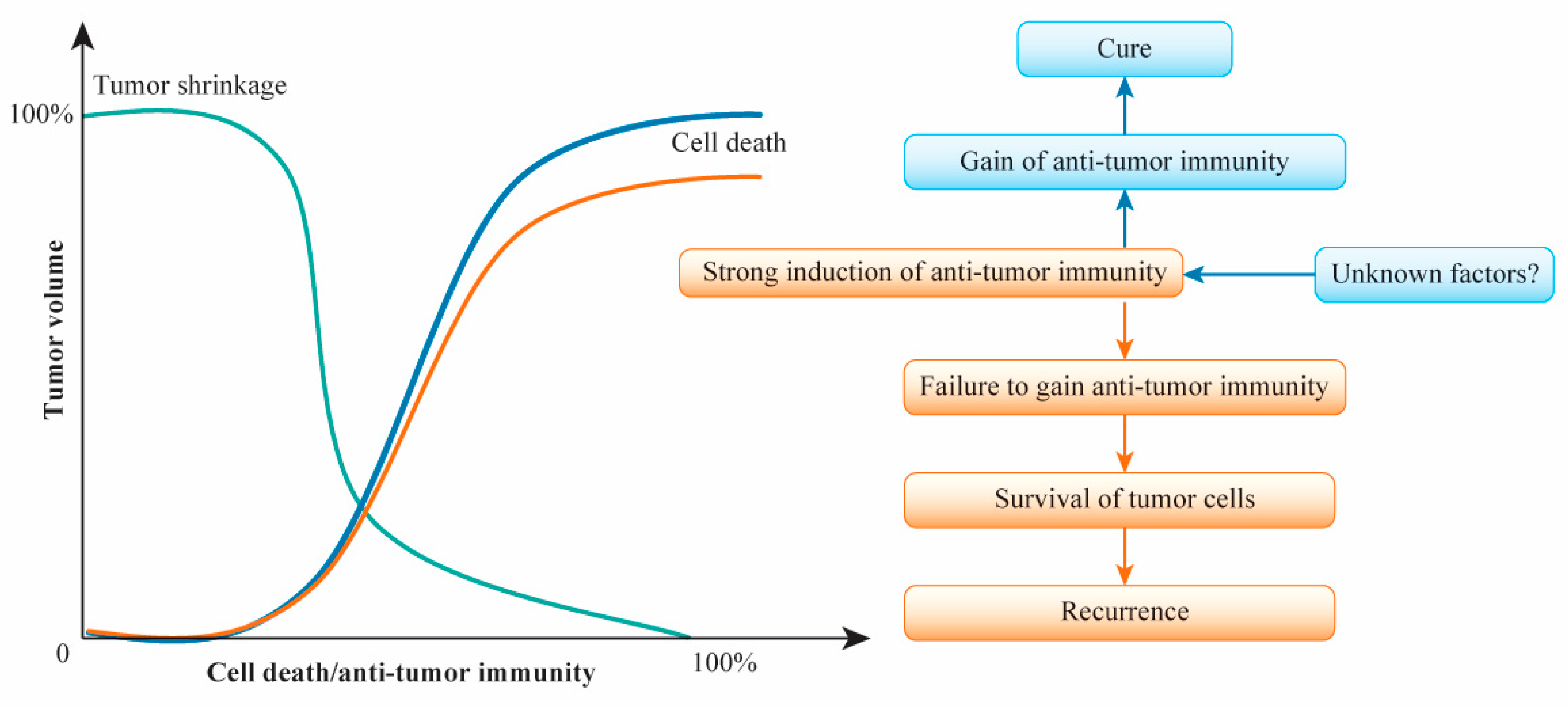 Cancers 13 00926 g003 Cancers 13 00926 g003