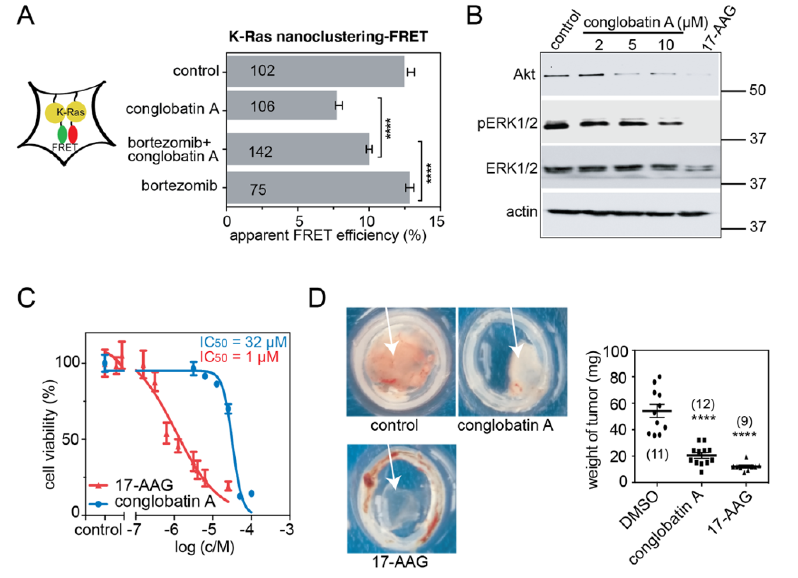 Cancers 13 00927 g002