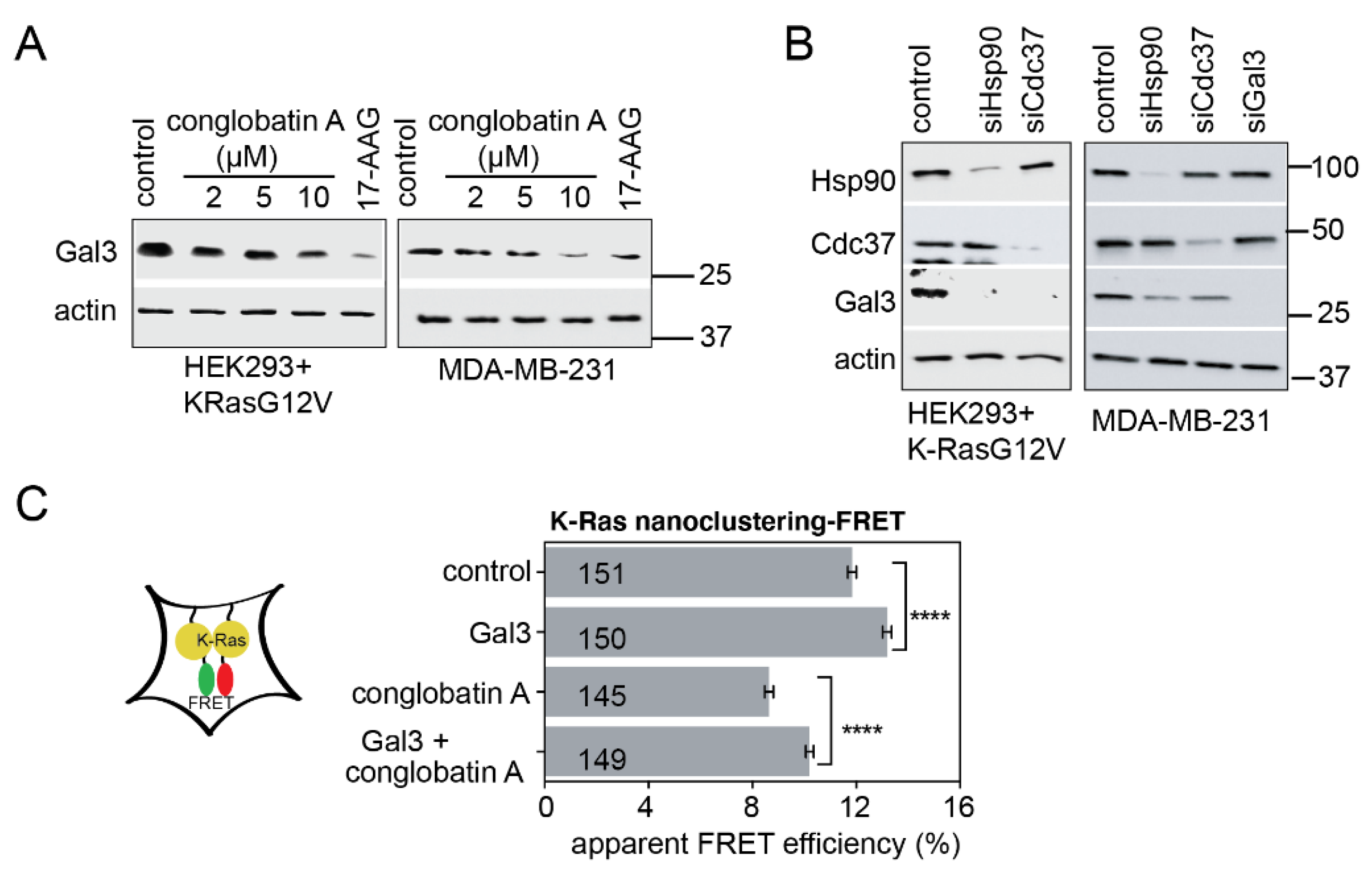 Cancers 13 00927 g003