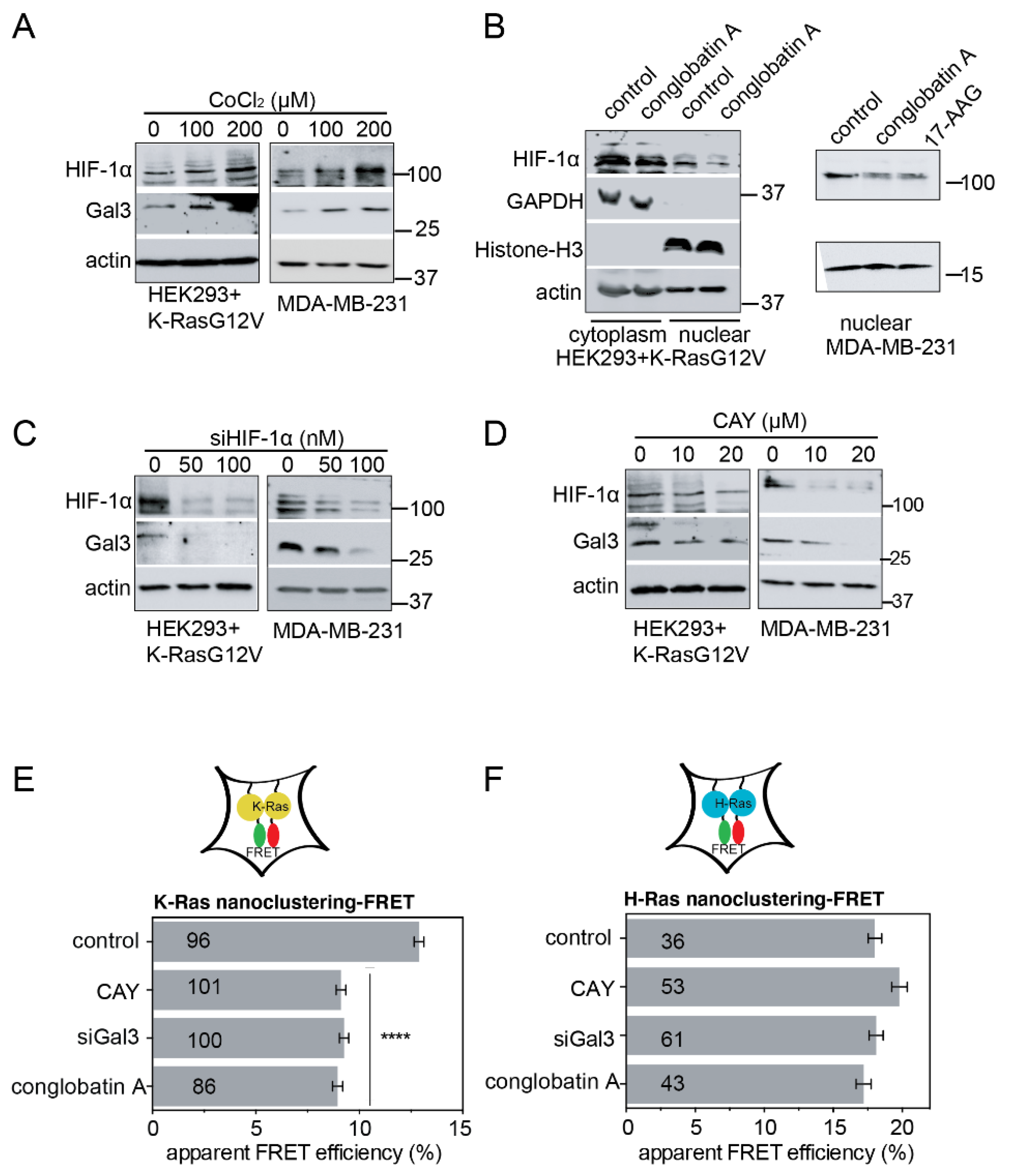 Cancers 13 00927 g004