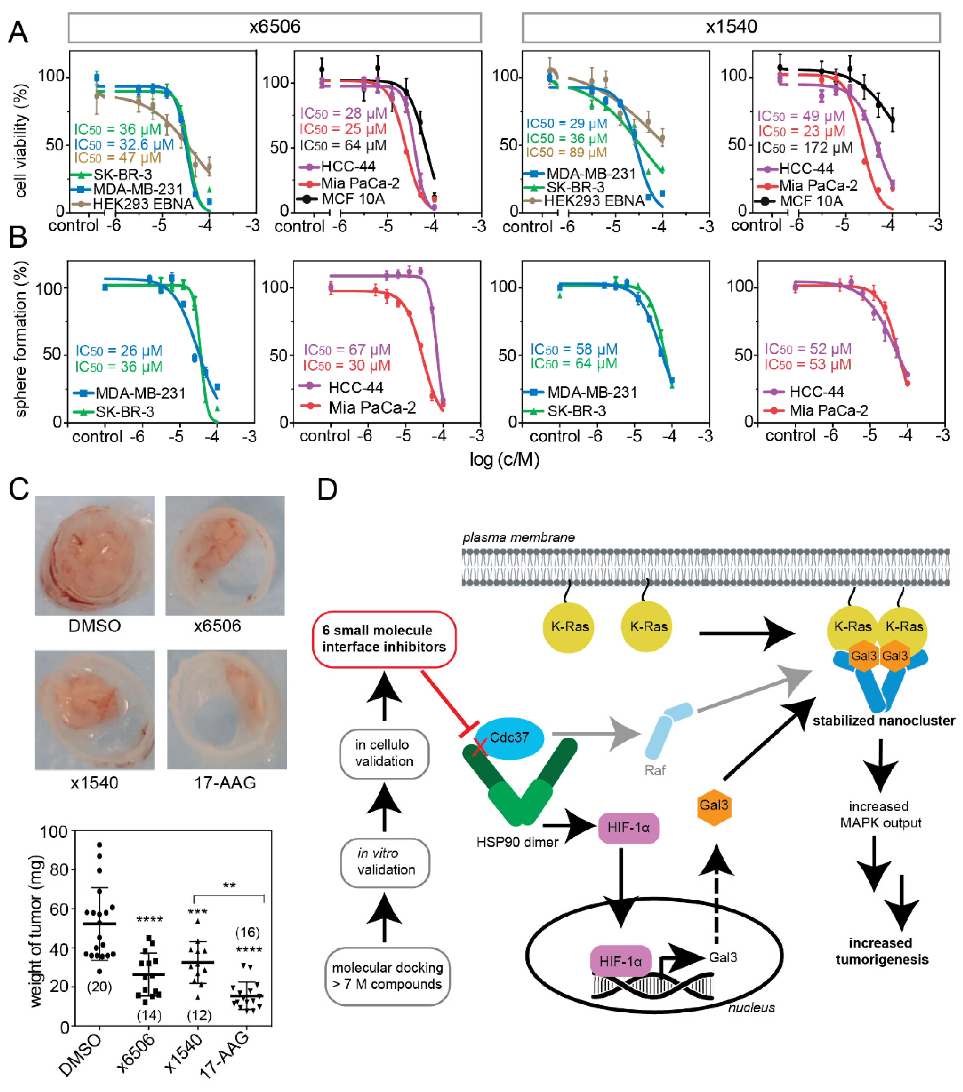 Cancers 13 00927 g007