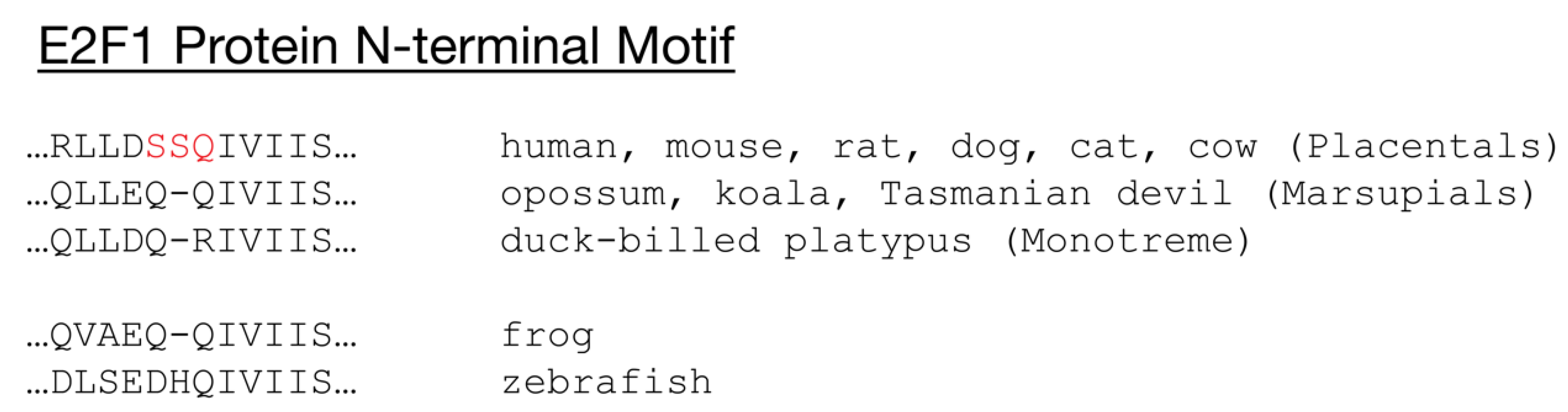 Cancers 13 00934 g004 Cancers 13 00934 g004