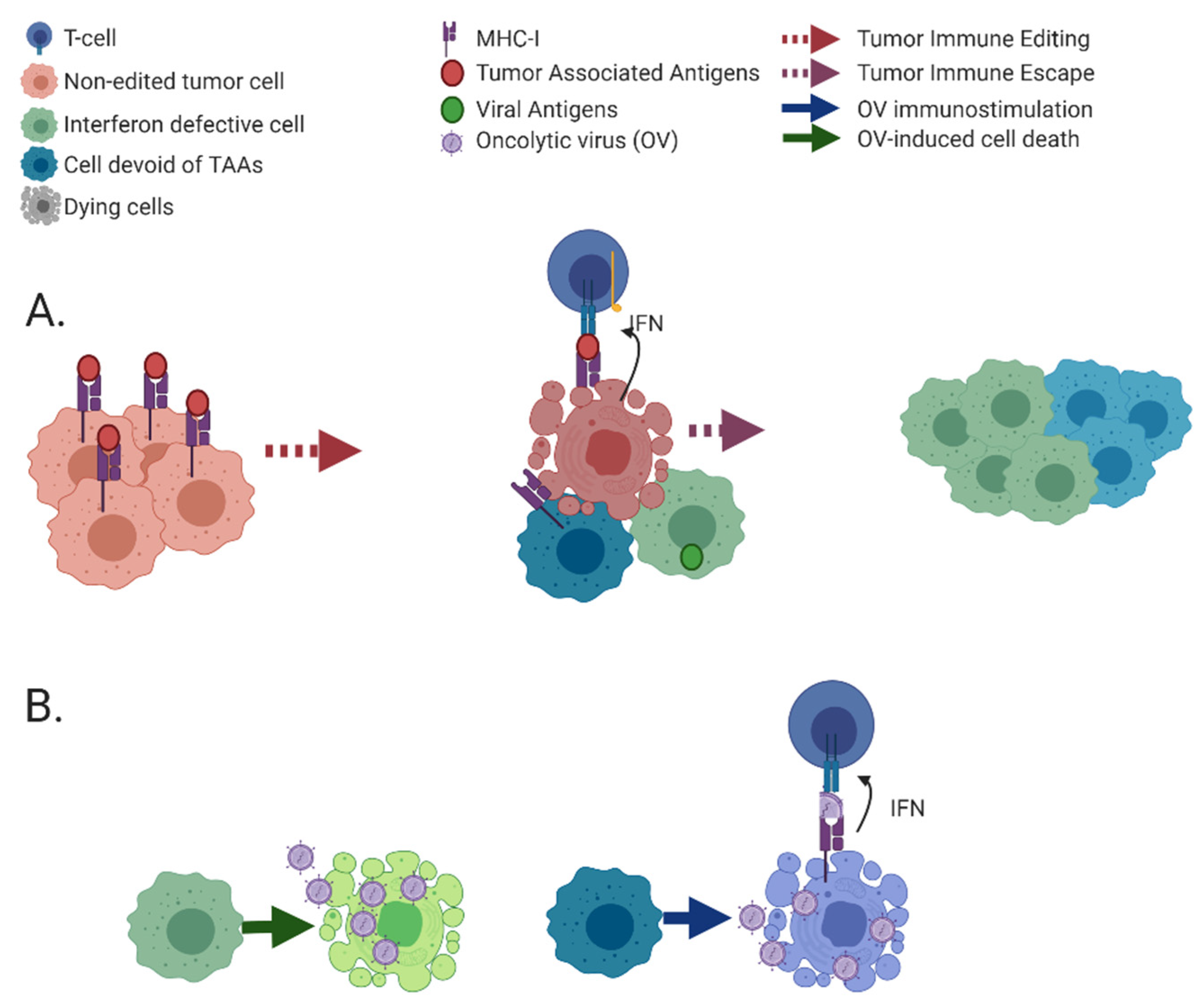 Cancers 13 00939 g002 Cancers 13 00939 g002
