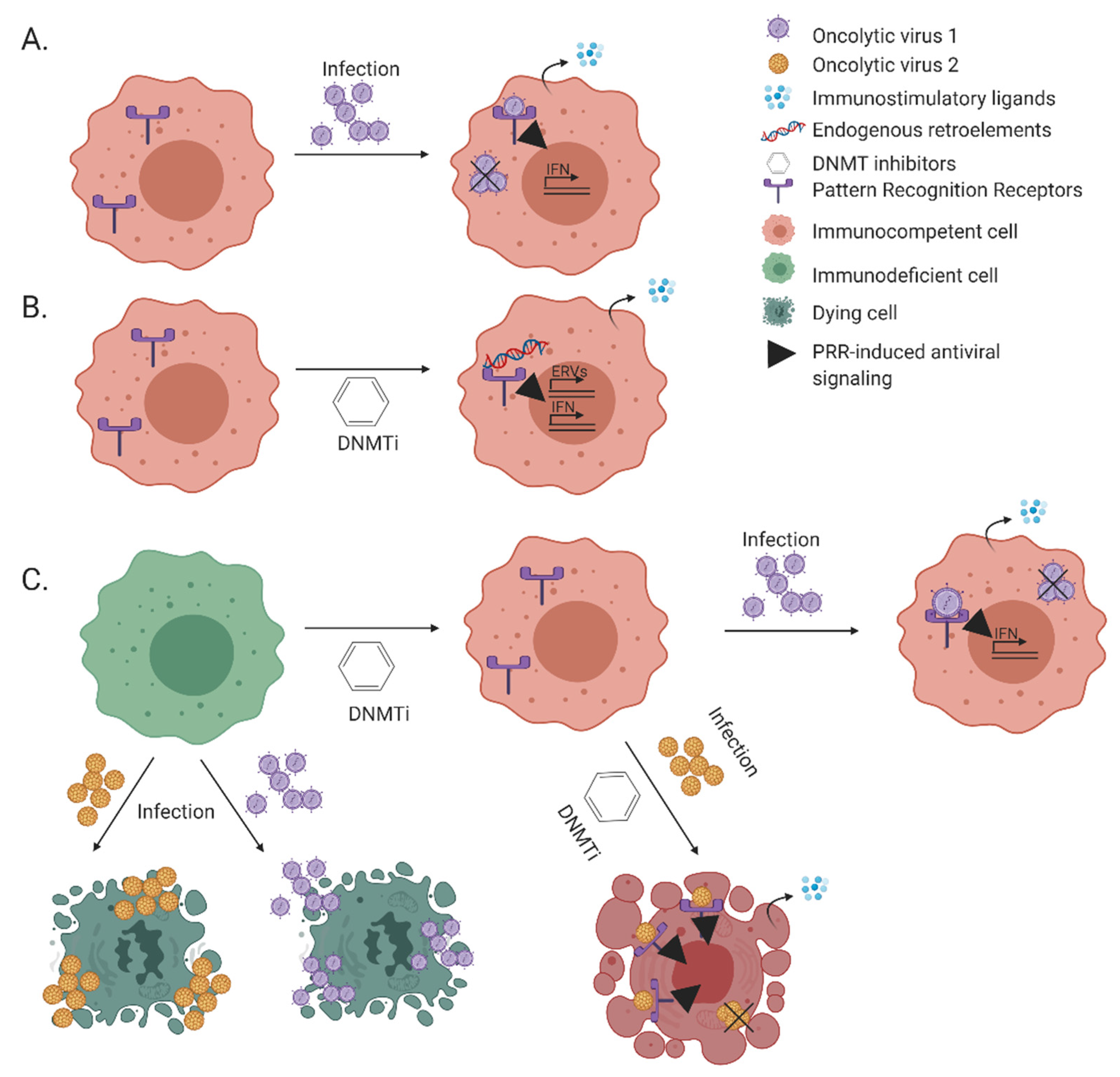 Cancers 13 00939 g003 Cancers 13 00939 g003