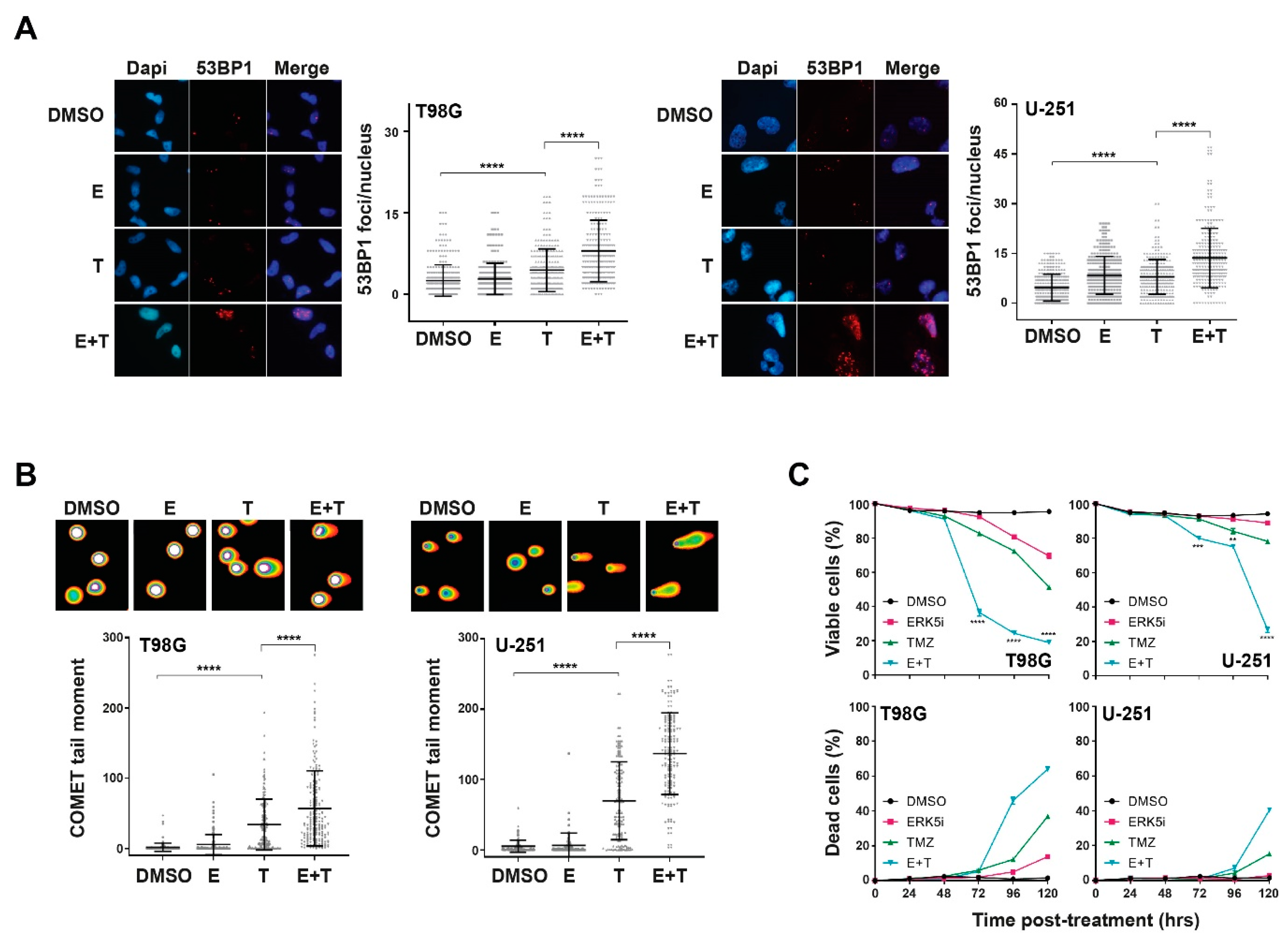 Cancers 13 00944 g002