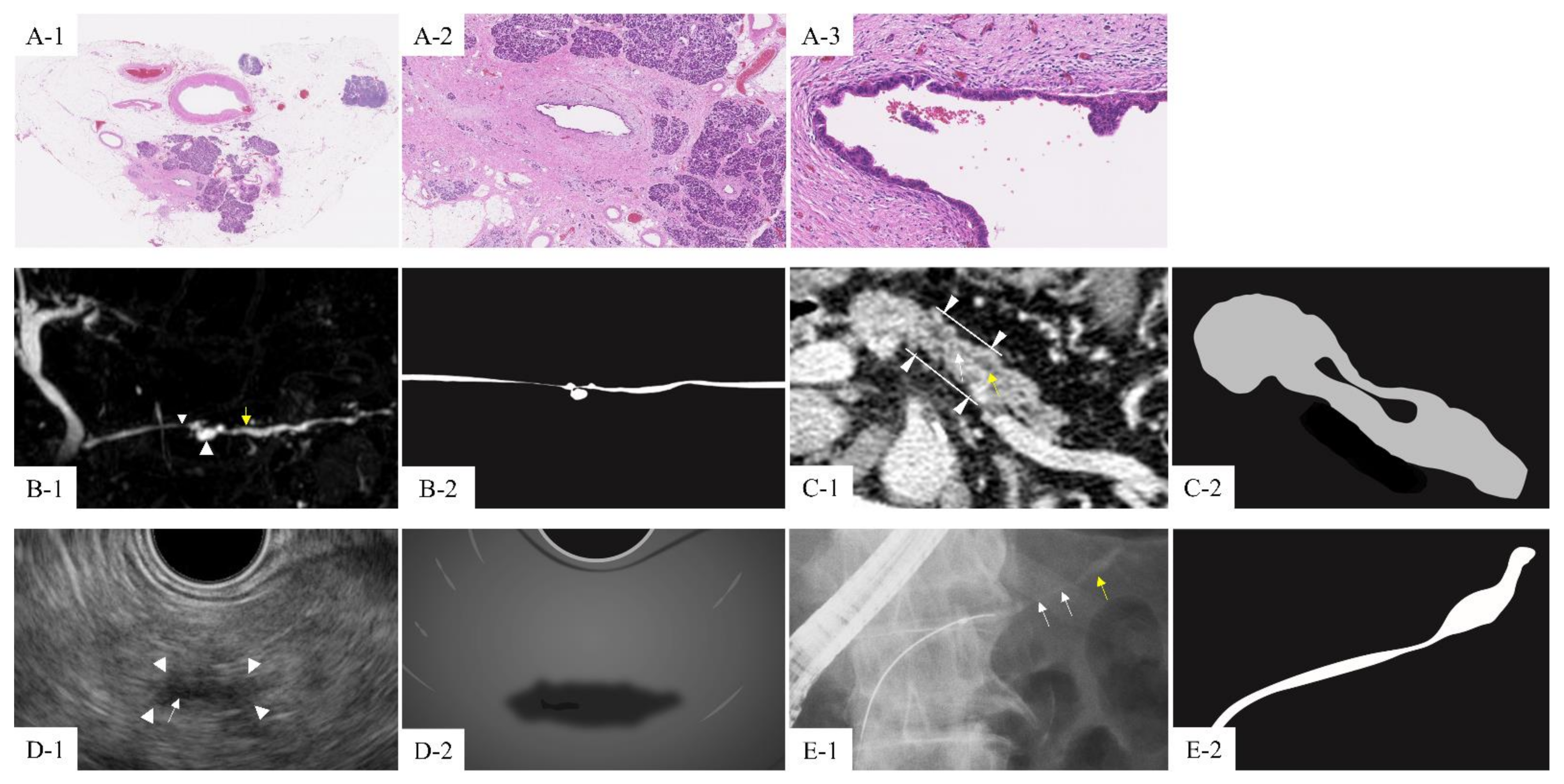 Cancers 13 00945 g002 Cancers 13 00945 g002