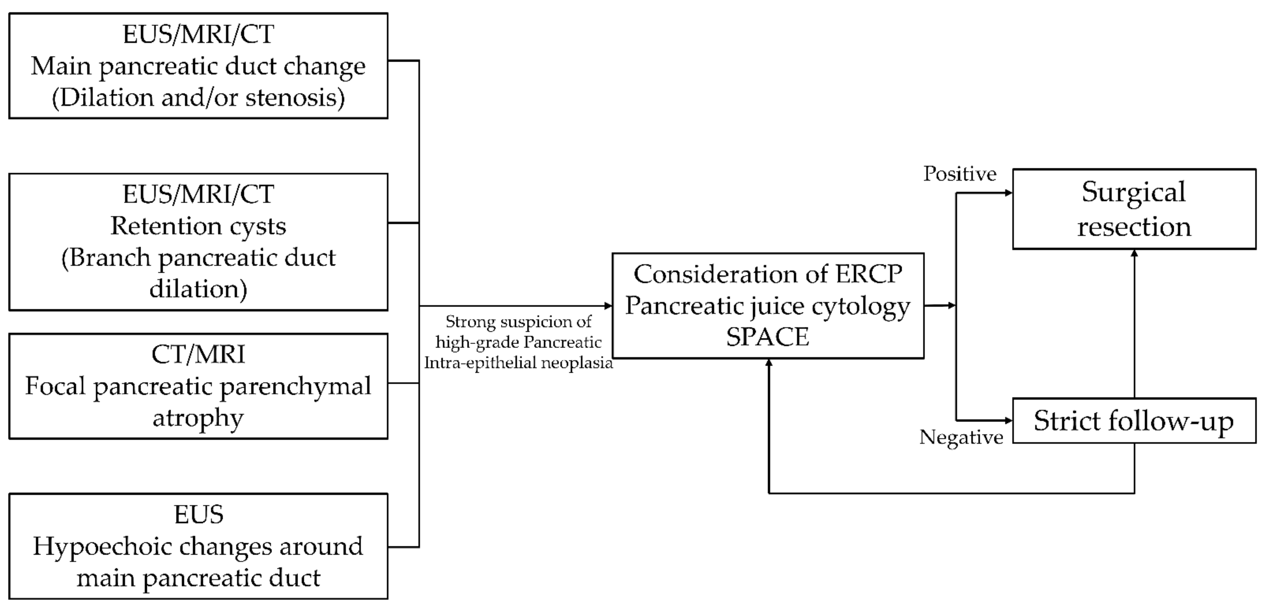 Cancers 13 00945 g003 Cancers 13 00945 g003