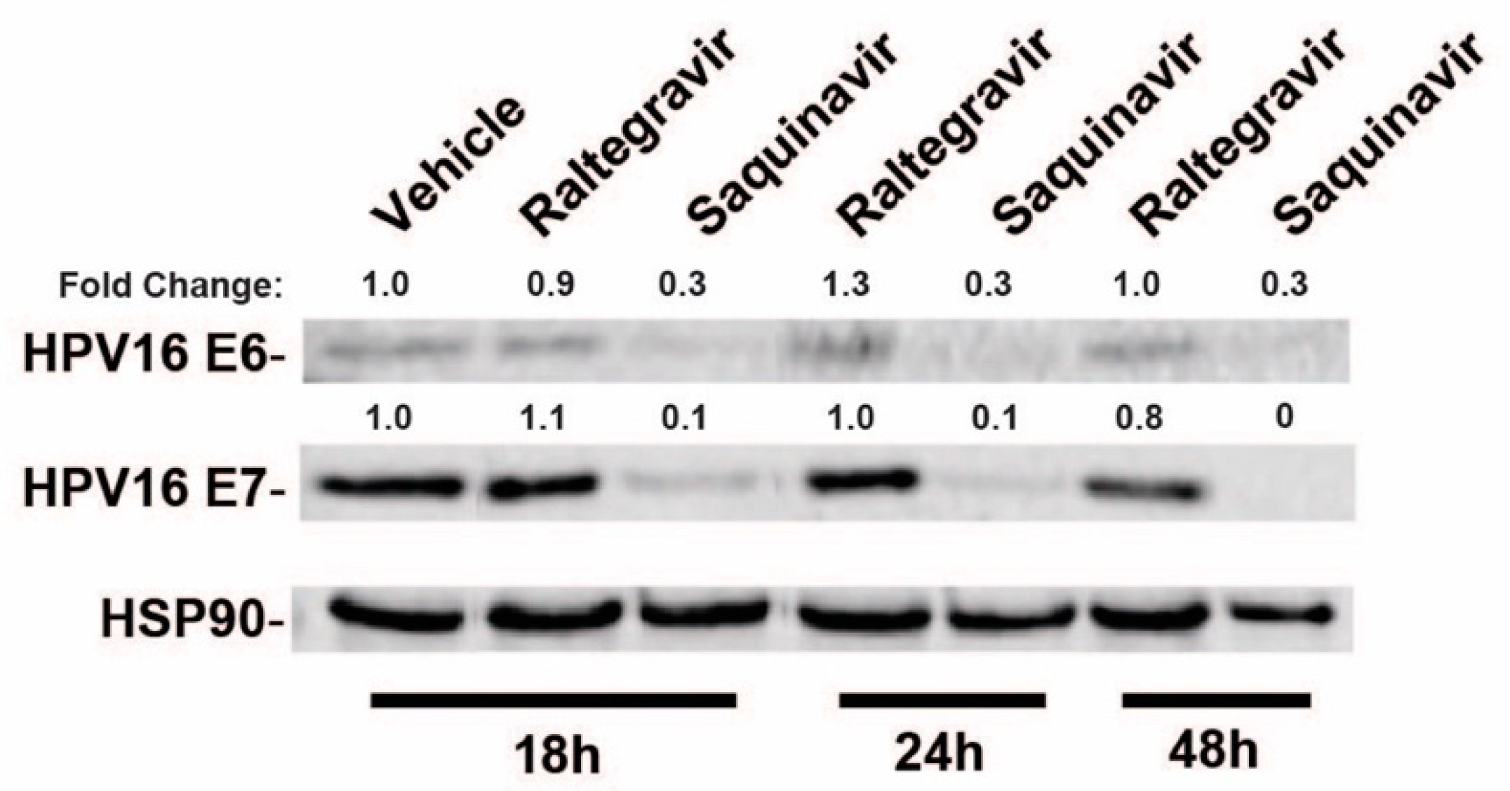 Cancers 13 00949 g001