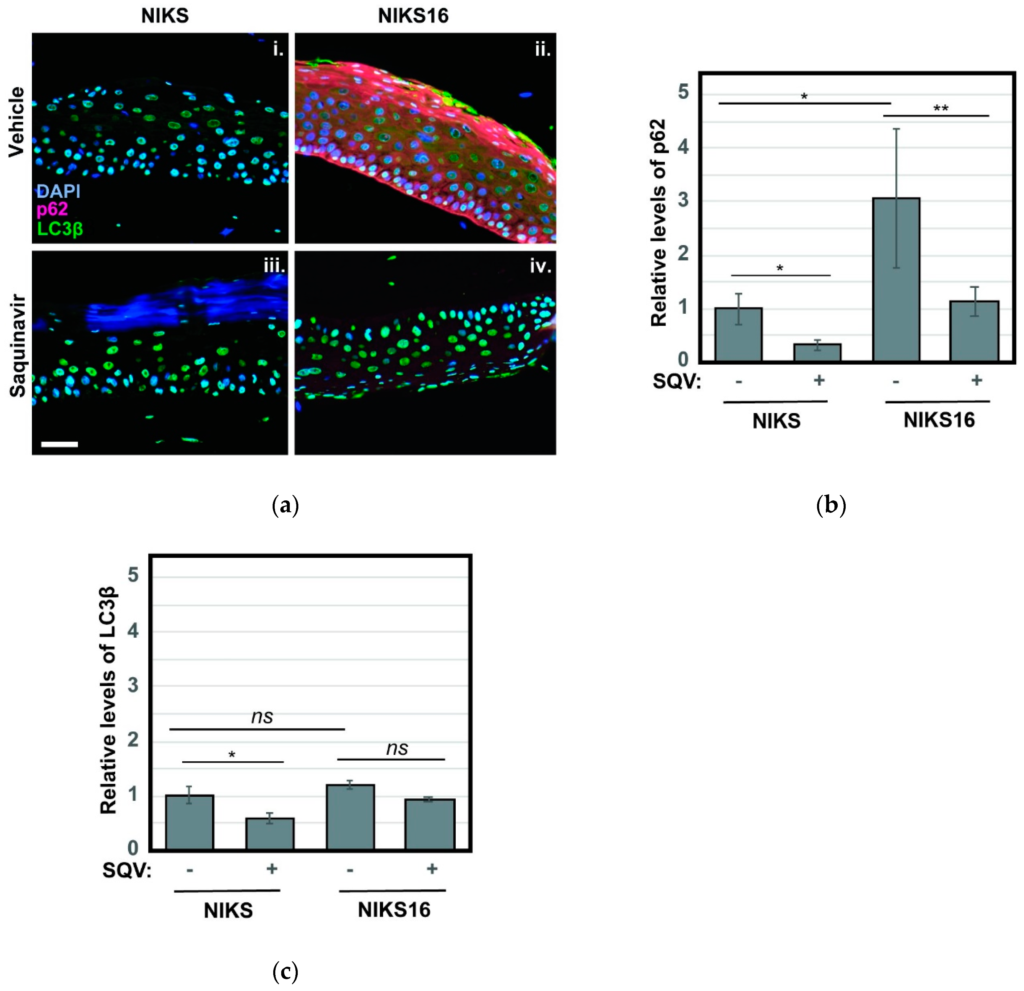 Cancers 13 00949 g006