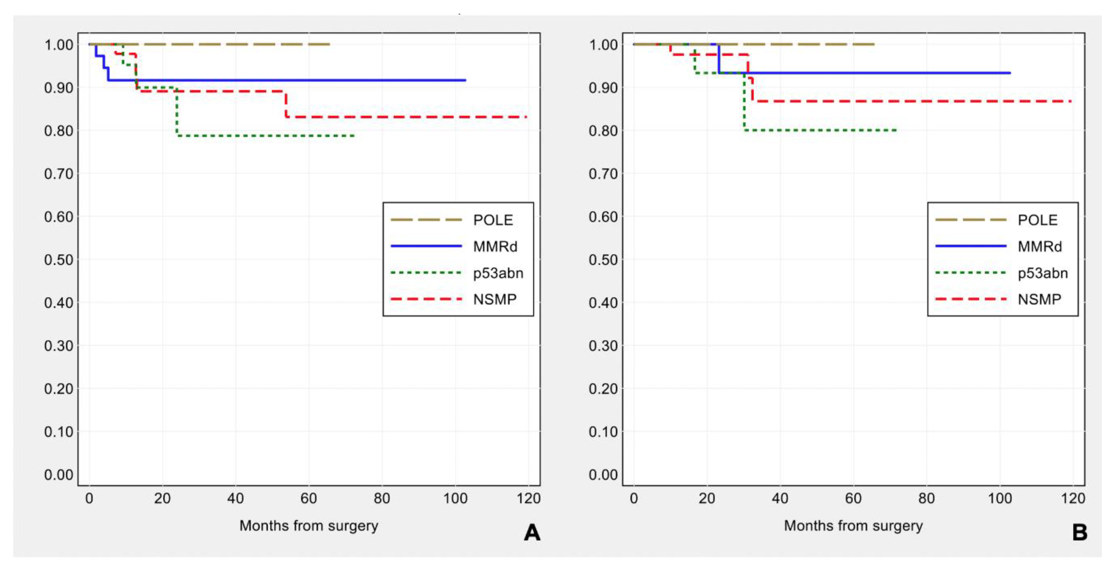 Cancers 13 00950 g008