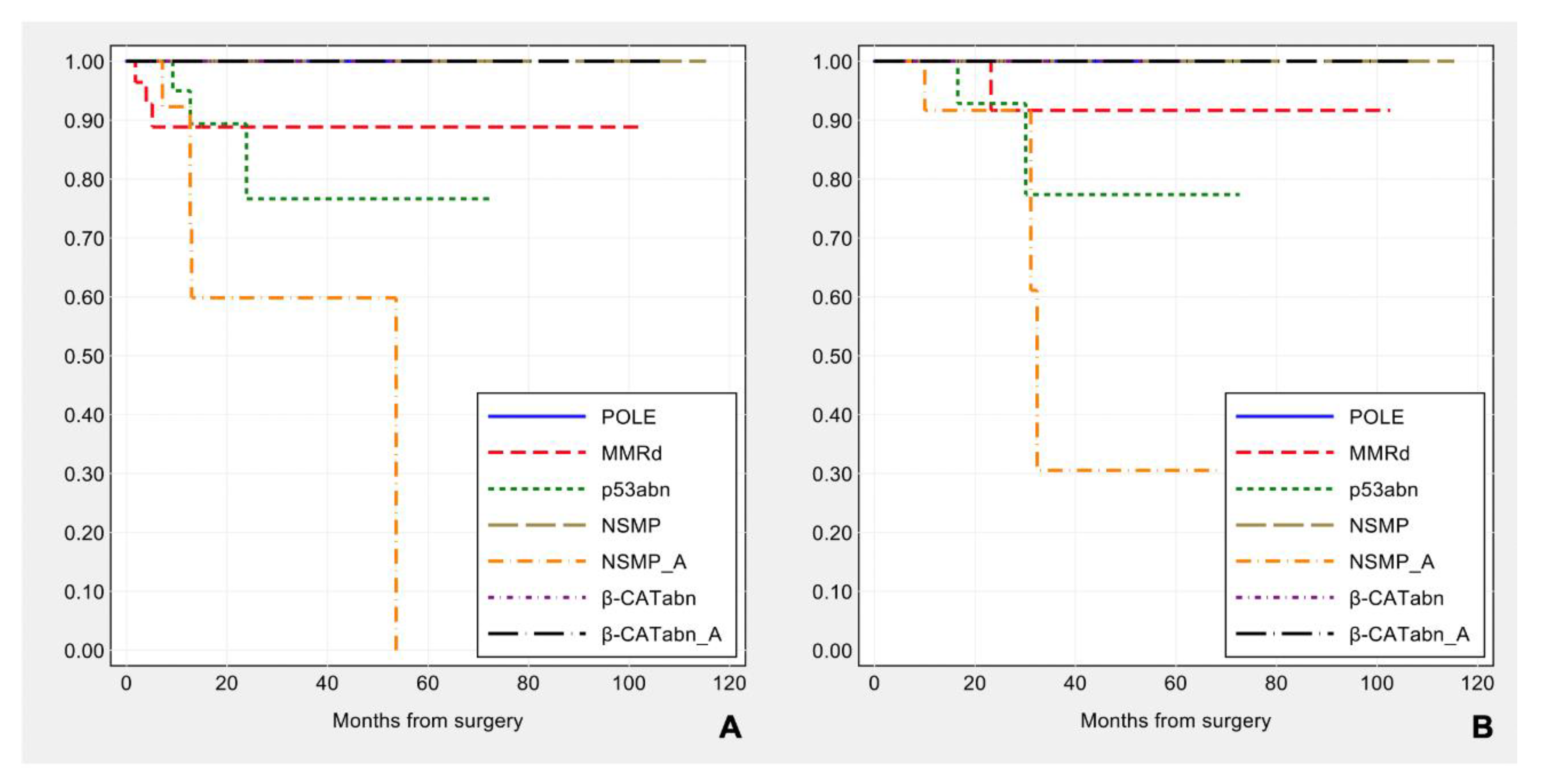 Cancers 13 00950 g011