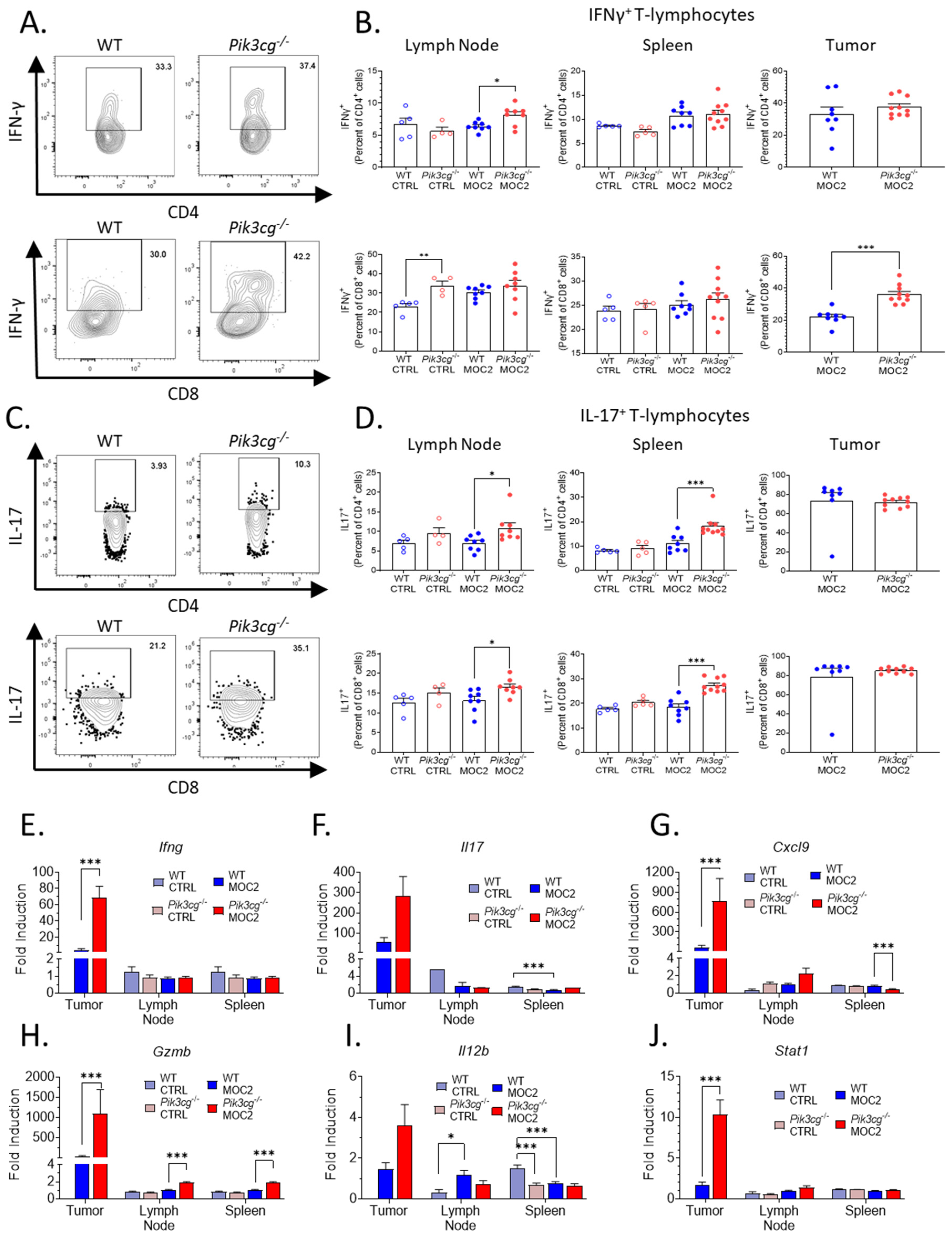 Cancers 13 00953 g003 Cancers 13 00953 g003