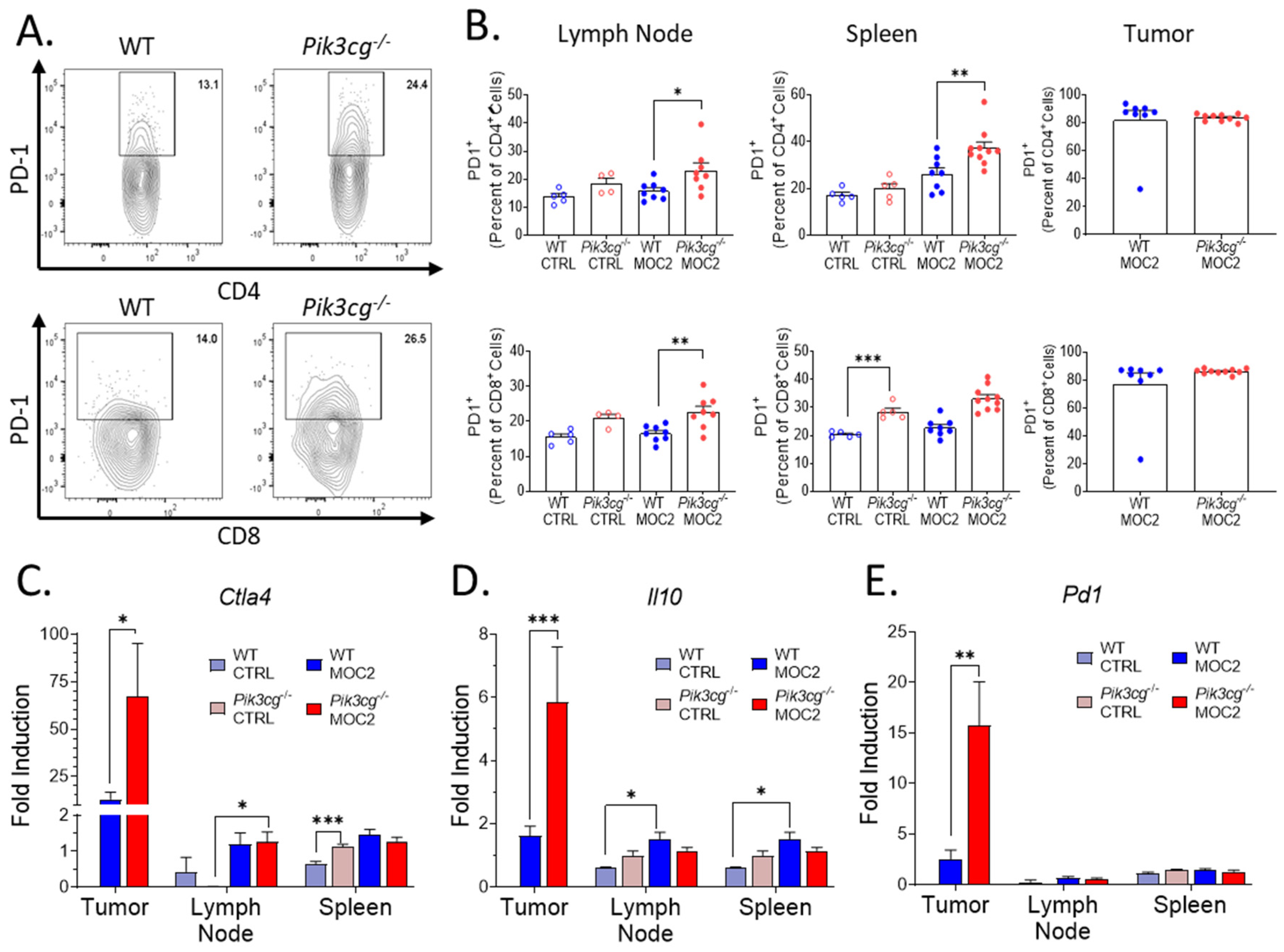 Cancers 13 00953 g004 Cancers 13 00953 g004