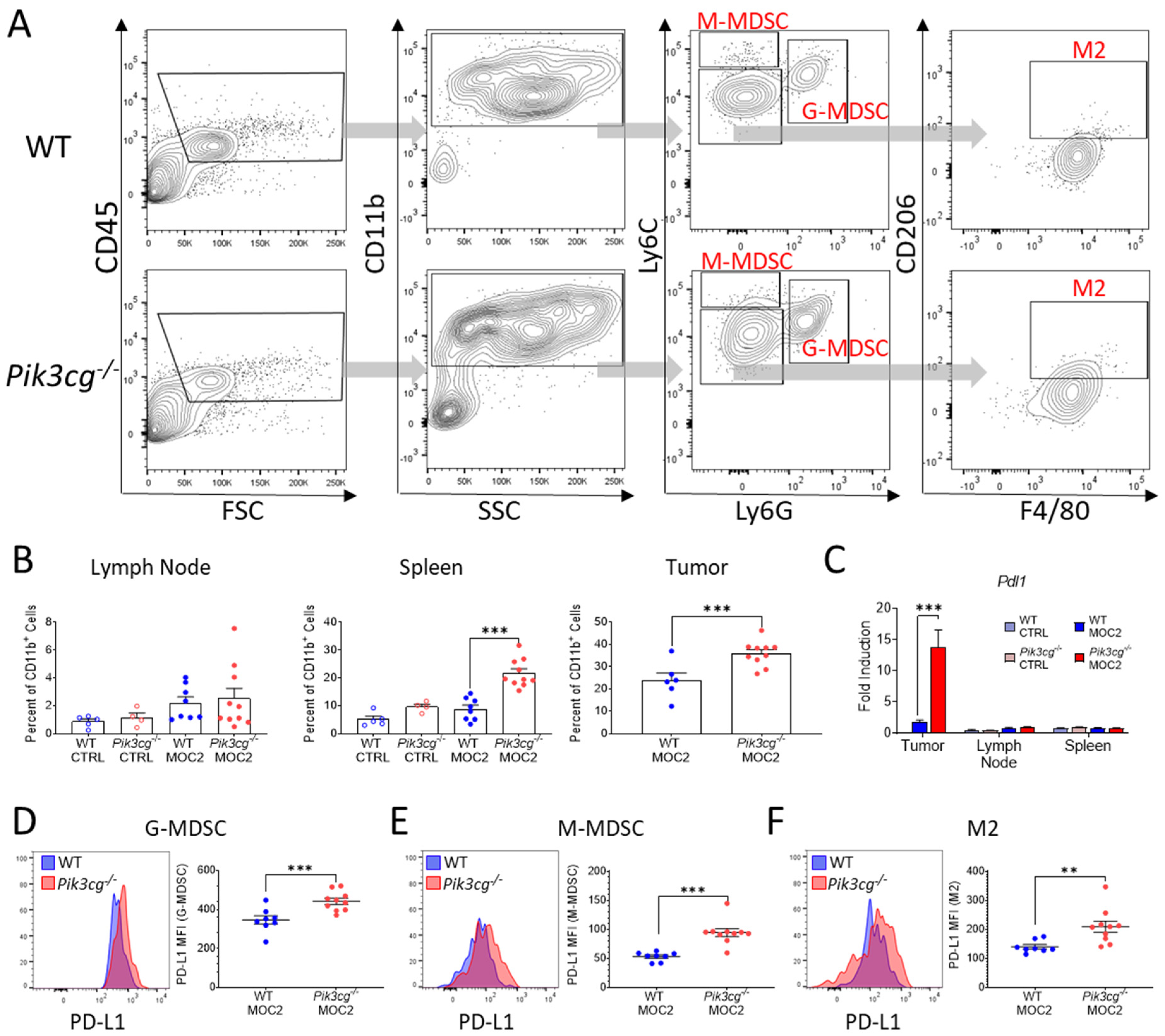 Cancers 13 00953 g005 Cancers 13 00953 g005